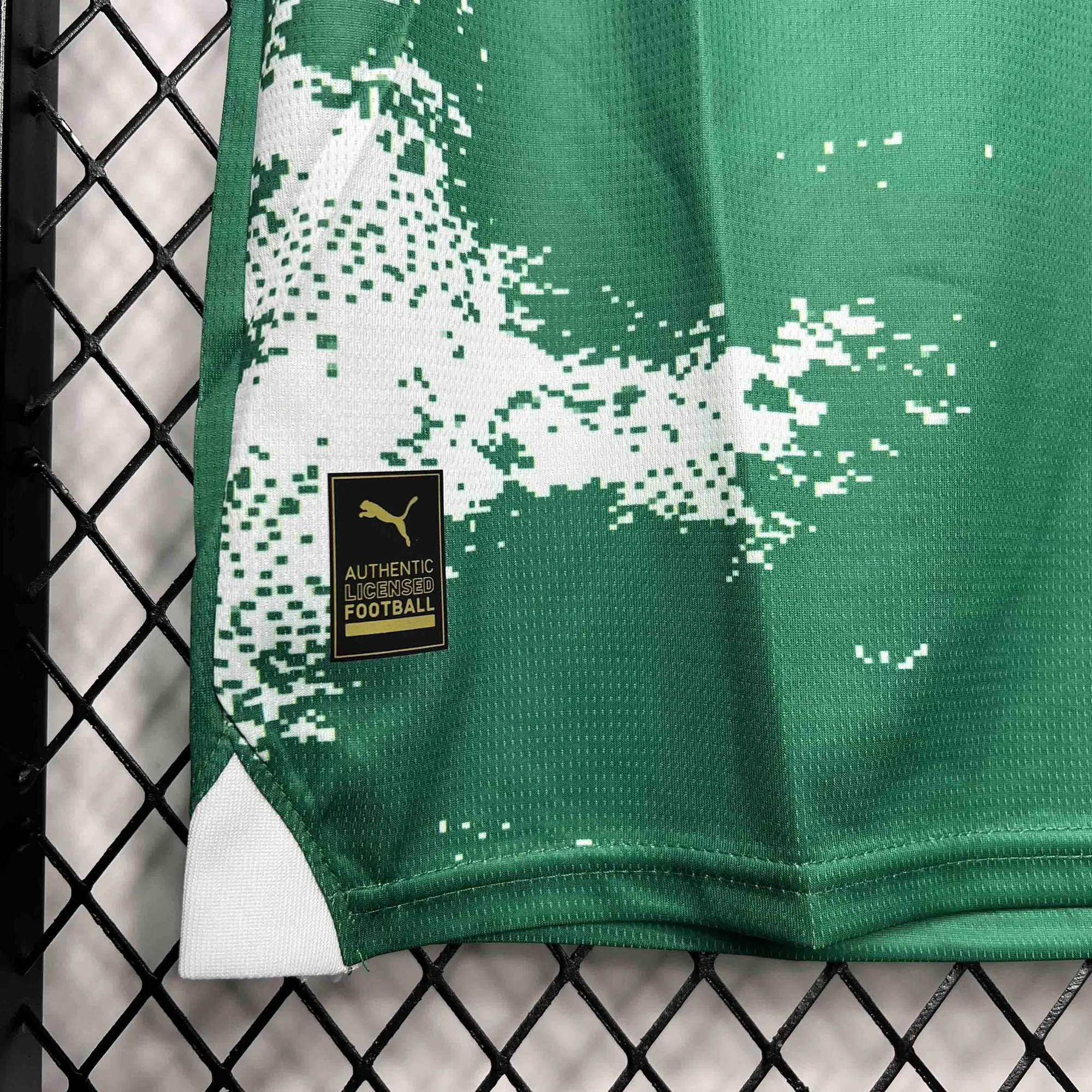24-25 Palmeiras For a Greener Future Special Edition Kit AAAAJersey Supplier Yupoo 2