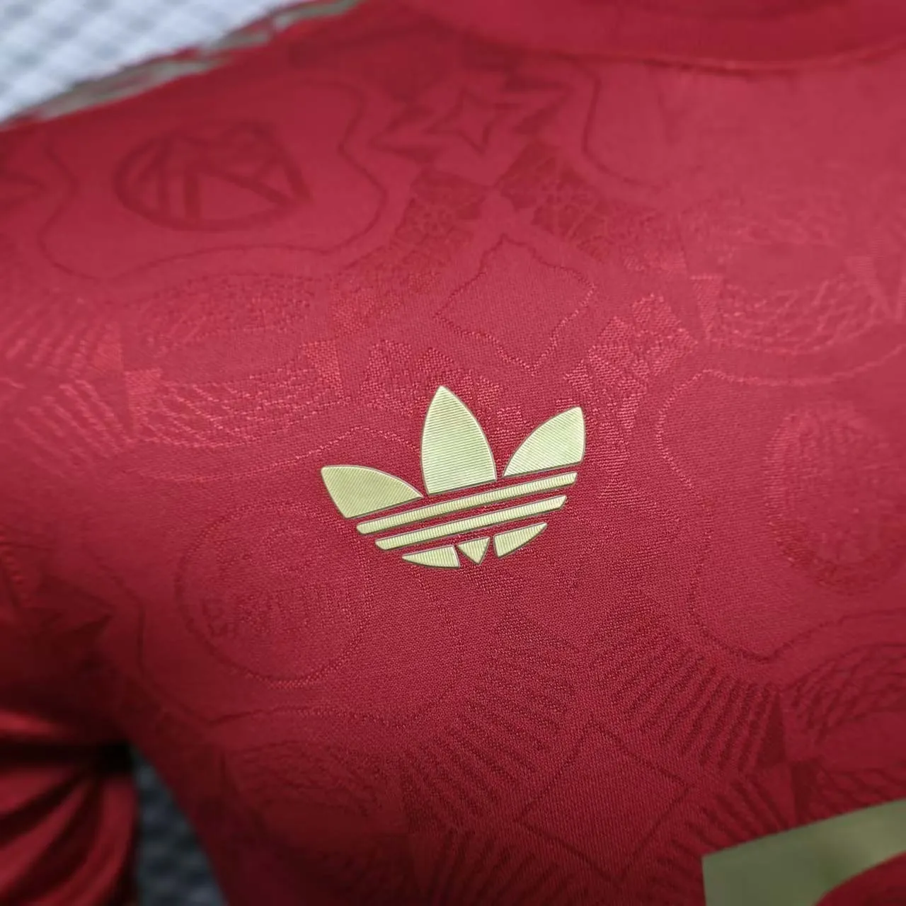 25-26 Bayern Munich 125th Anniversary Commemoration Red Player Version Shirt AAAAJersey Yupoo 1