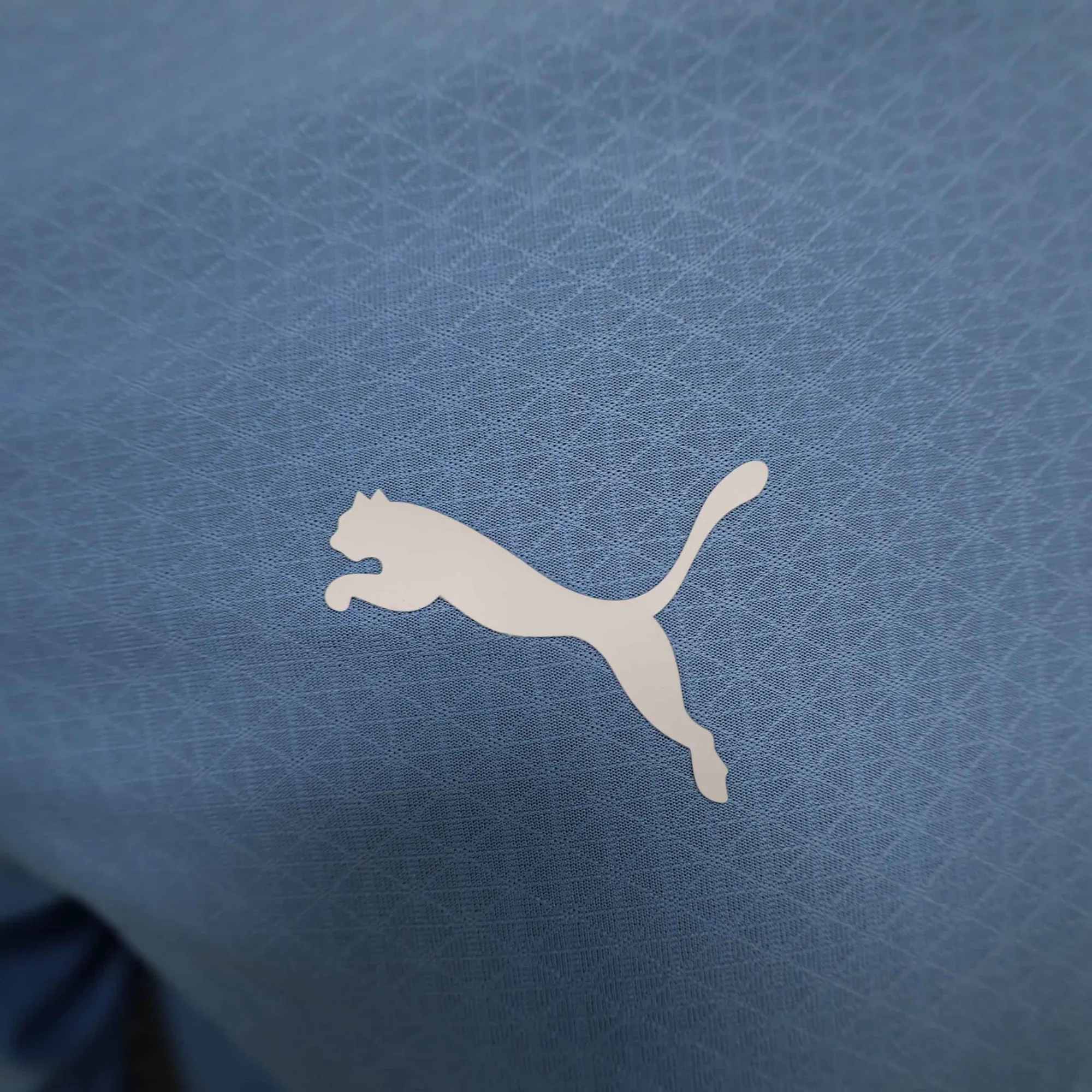 24-25 Manchester City Home Long Sleeve Kit Player Version Shirt AAAAJersey Soccer Yupoo 4