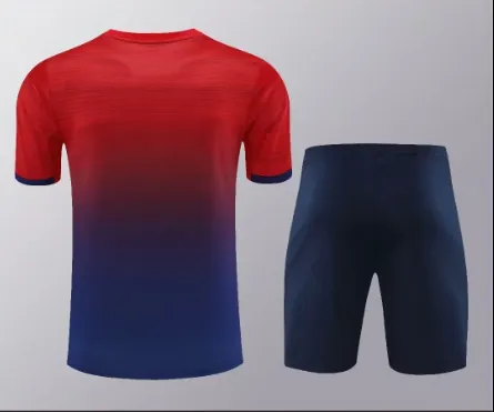 24-25 PSG Training Soccer Jerseys Football Shirts 1