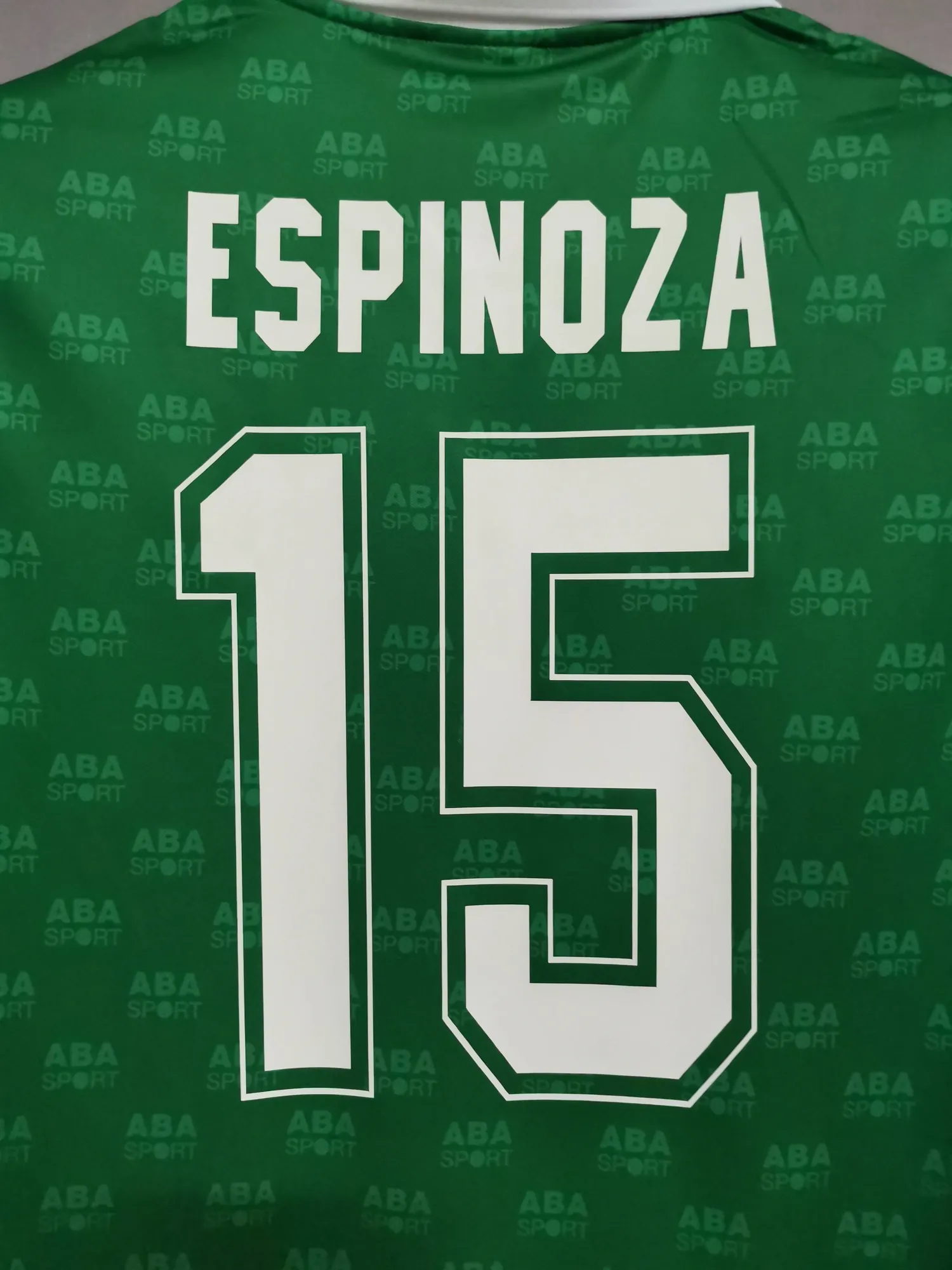 1995 Mexico home 8