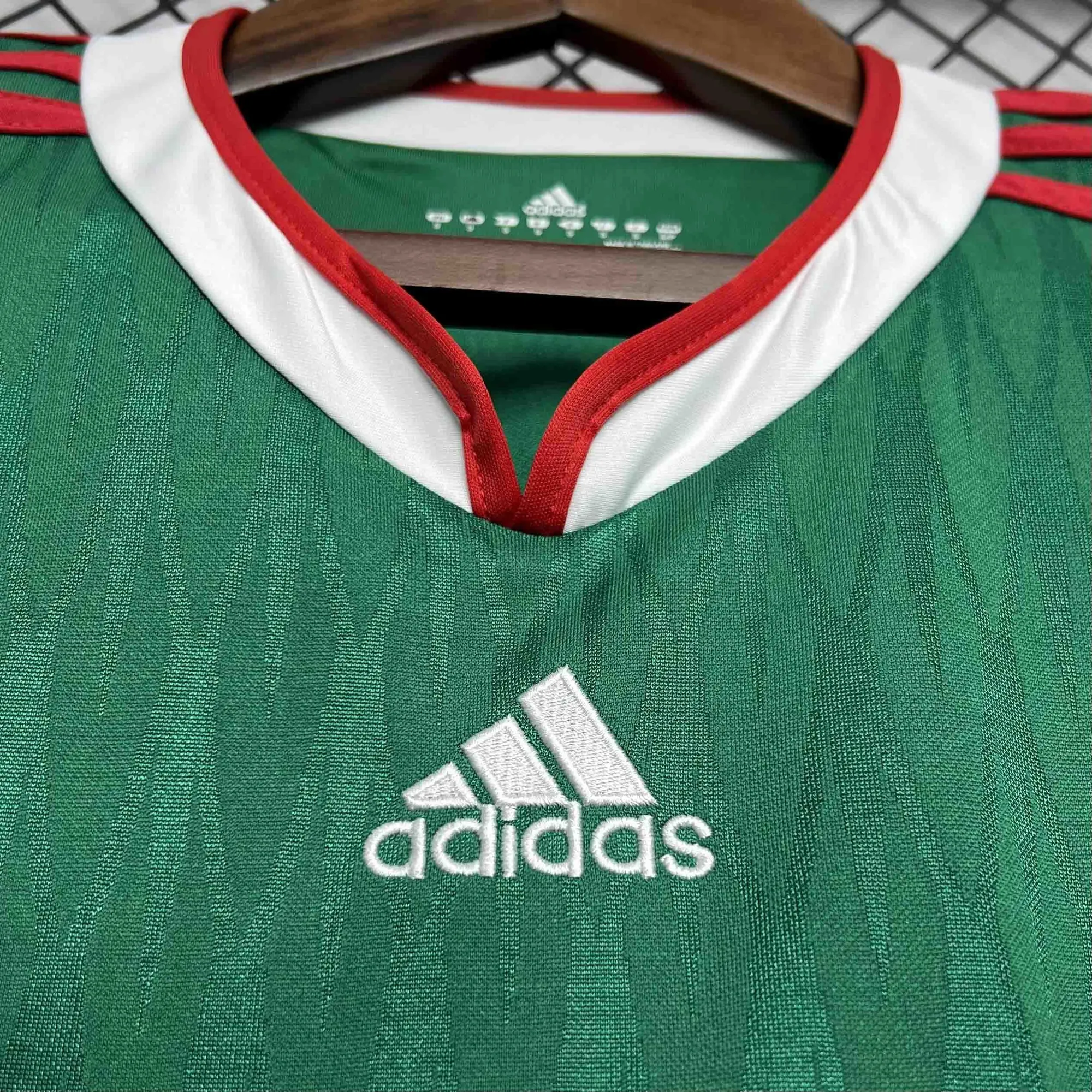2010 Mexico home 6