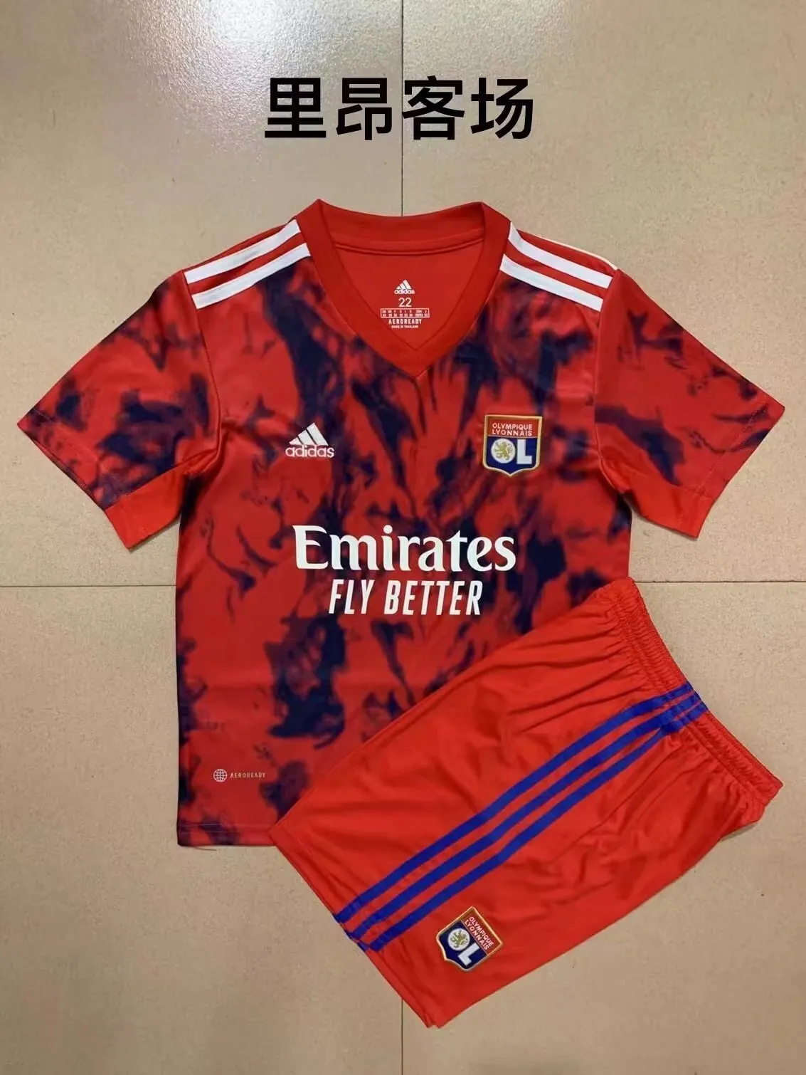 Lyon 6