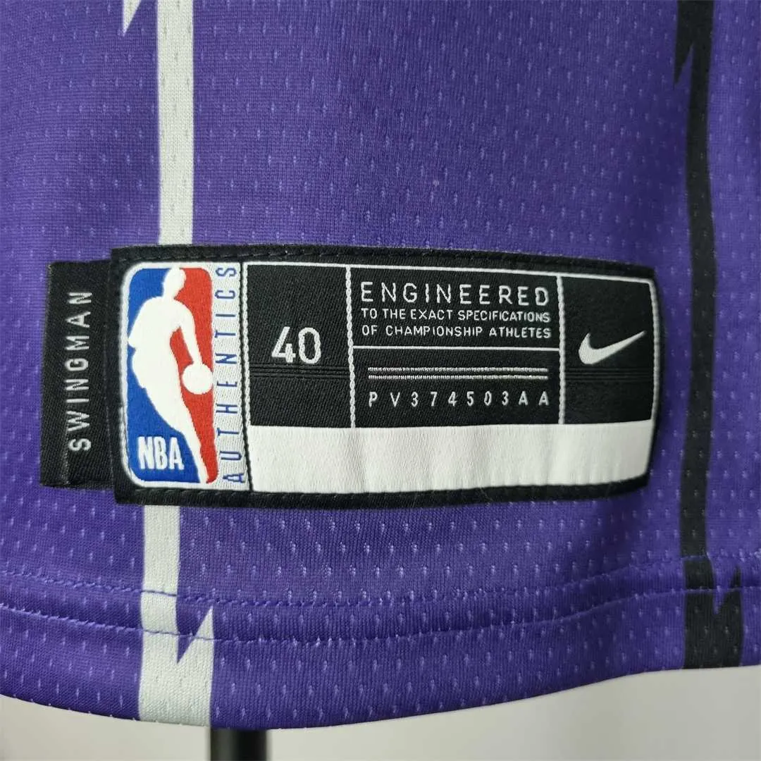 Toronto Raptors SIAKAM #43 Purple NBA Jersey 2