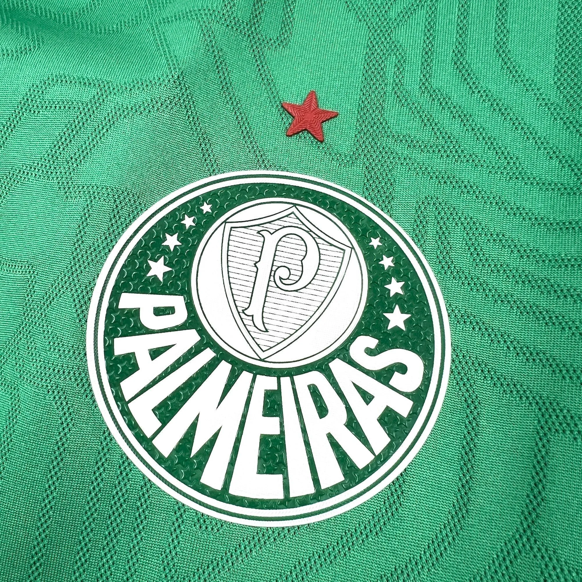 25-26 Palmeiras Training Kit Soccer T-Shirt AAAAJersey Supply Yupoo 5