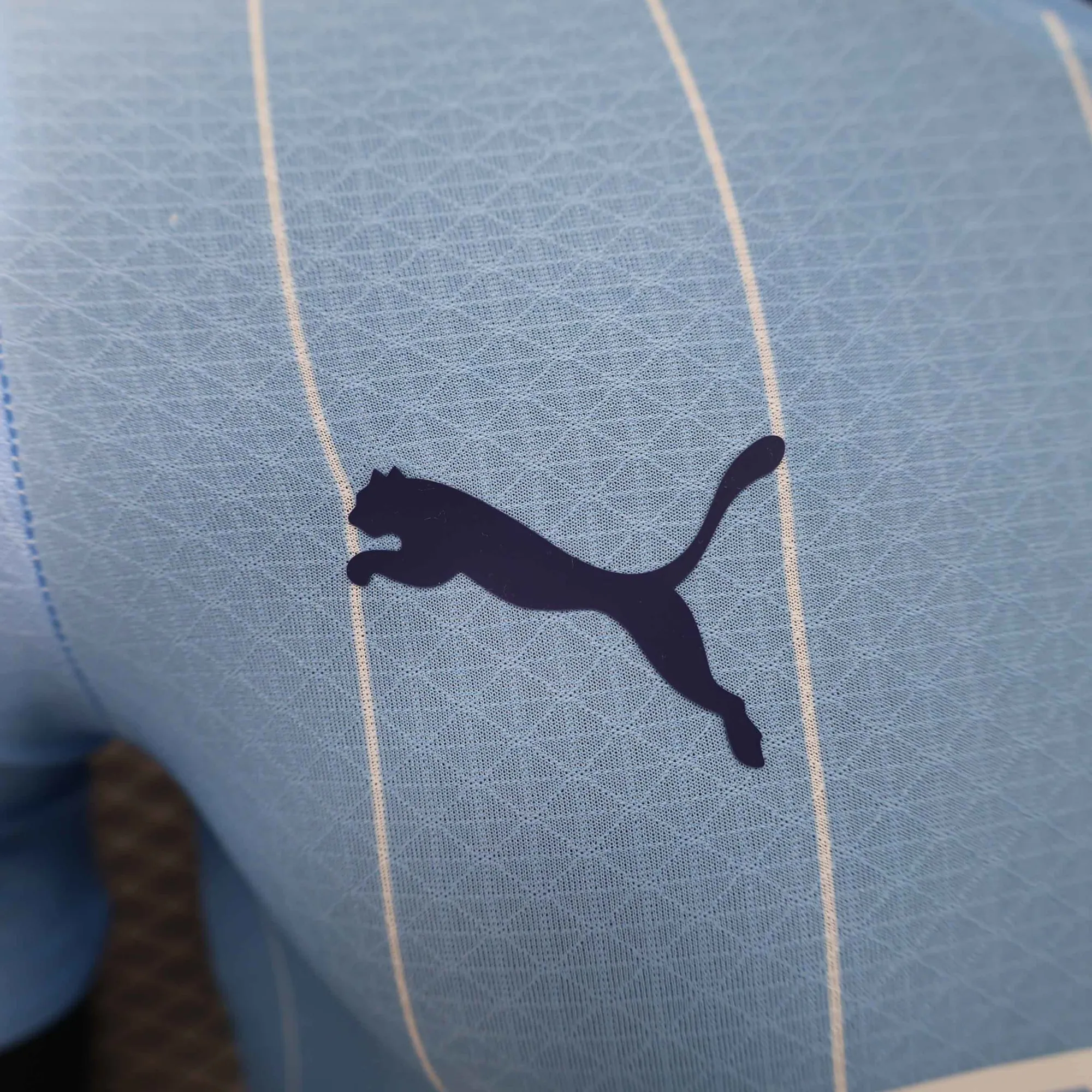 24-25 Manchester City Home Kit Player Version Shirt Soccer Jerseys For Sale 2