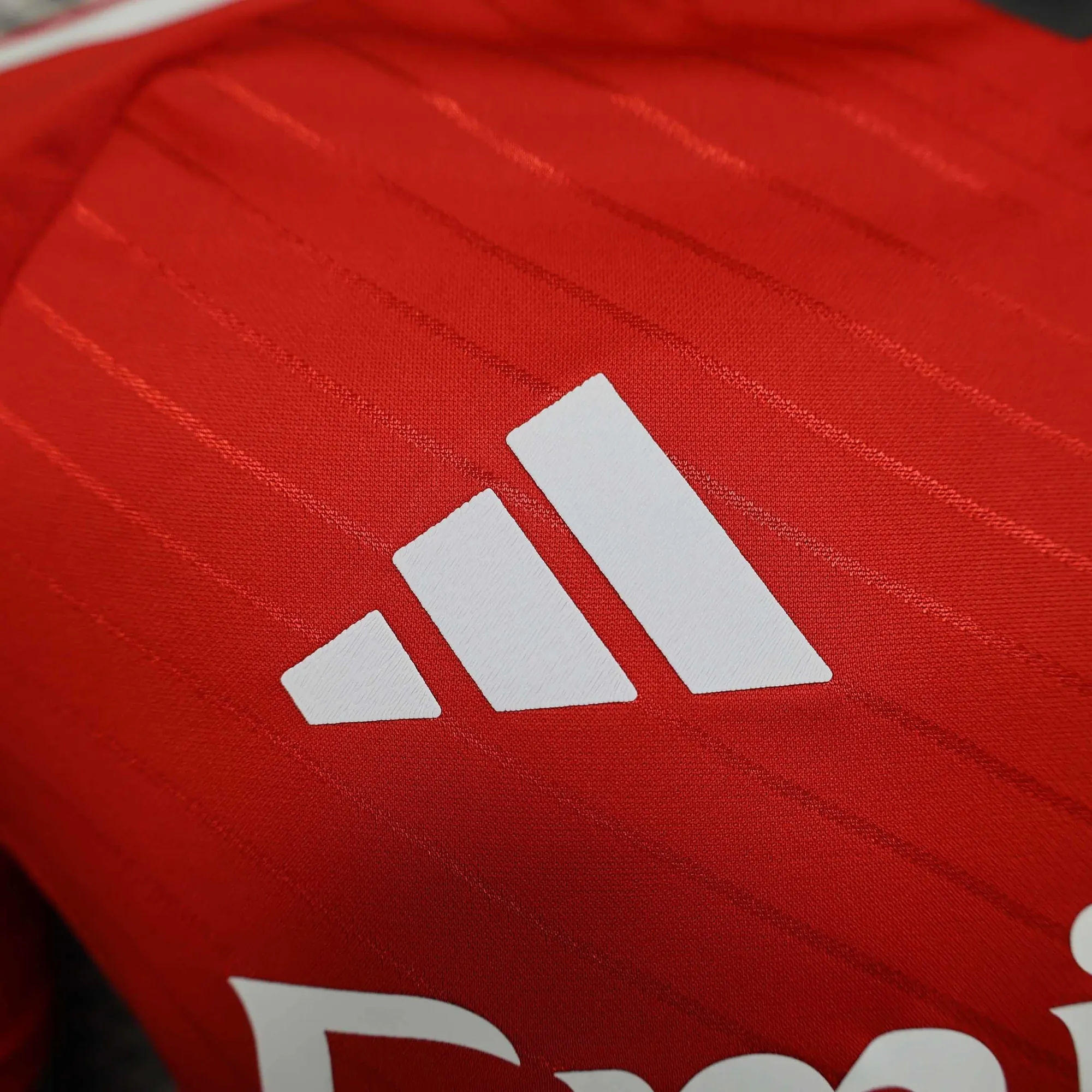 24-25 Benfica Home Kit Player Version Shirt Sport AAAAJersey Yupoo 6