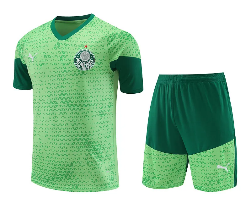 24-25 Palmeiras Training Soccer Jerseys Football Shirts 3