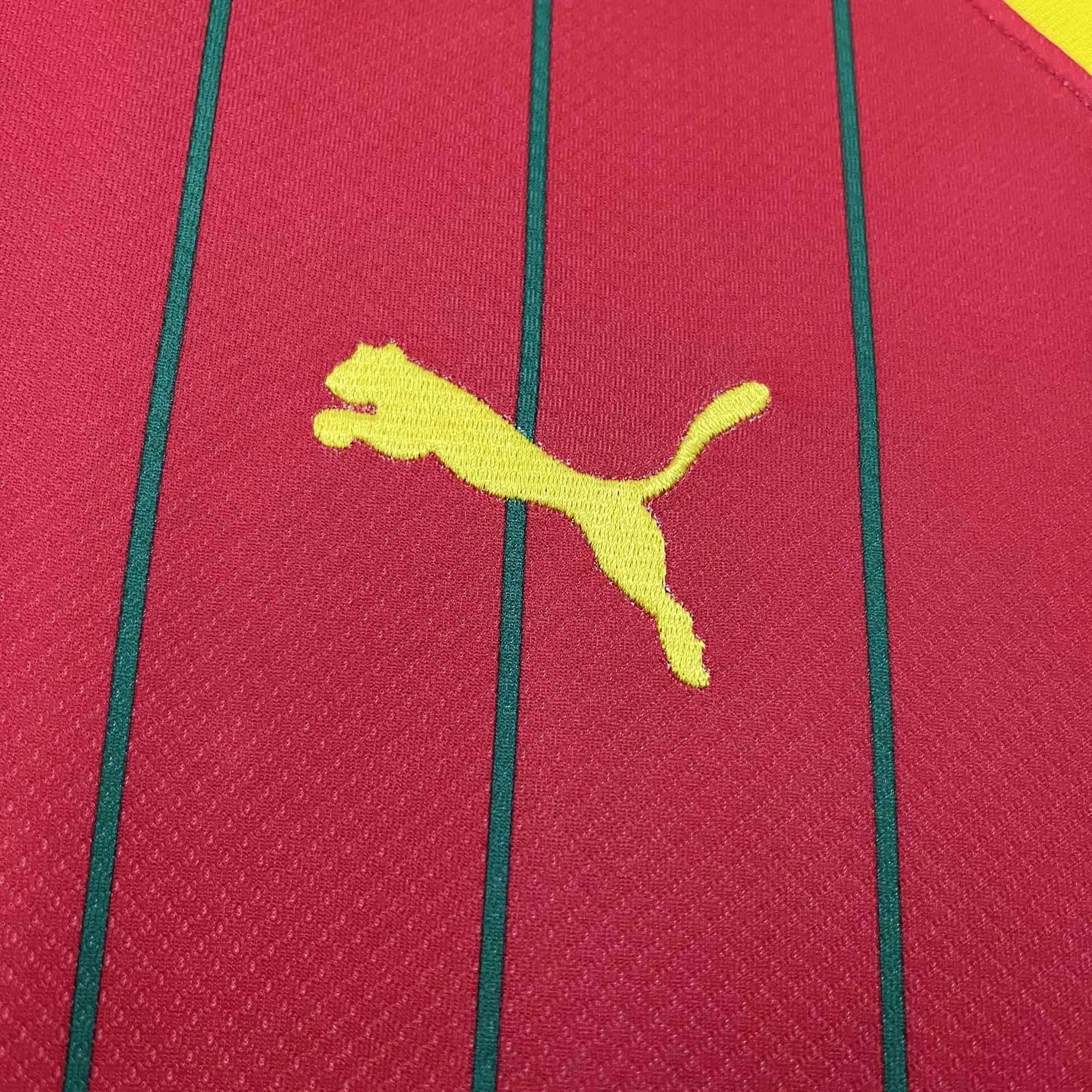 2024 Guinea Home Kit Cheap Jerseys Yupoo 2