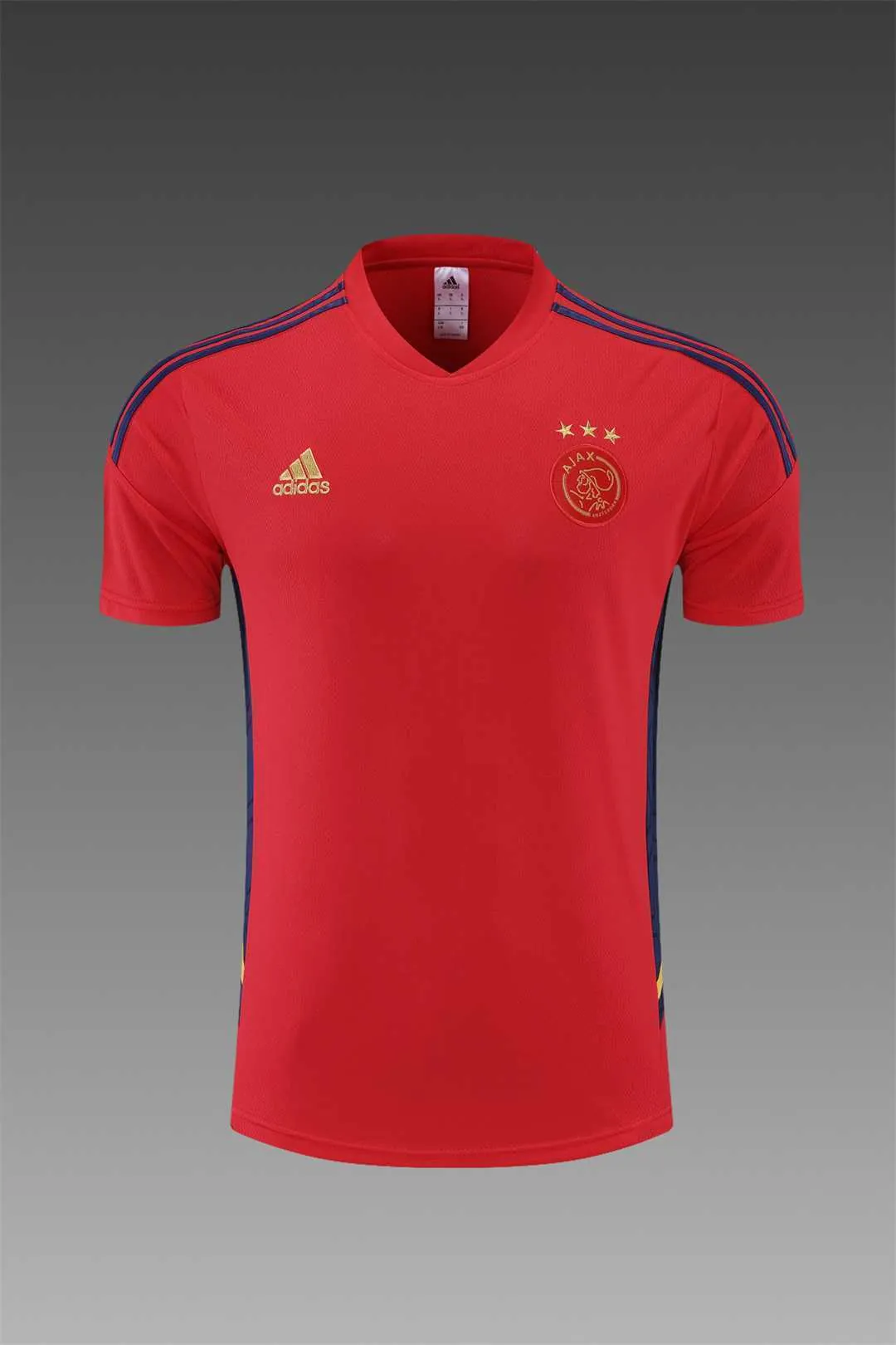 22-23 Ajax Training Short Sleeve Kit 9