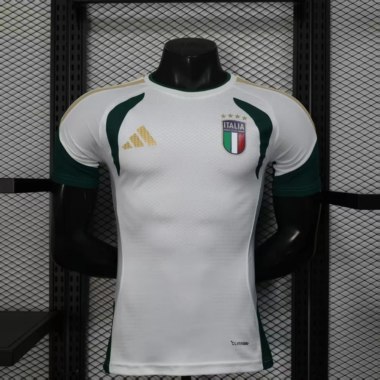 2026 Italy Tiro Pre-Match Football Player Version T-Shirt AAAAJersey Supply Yupoo 7