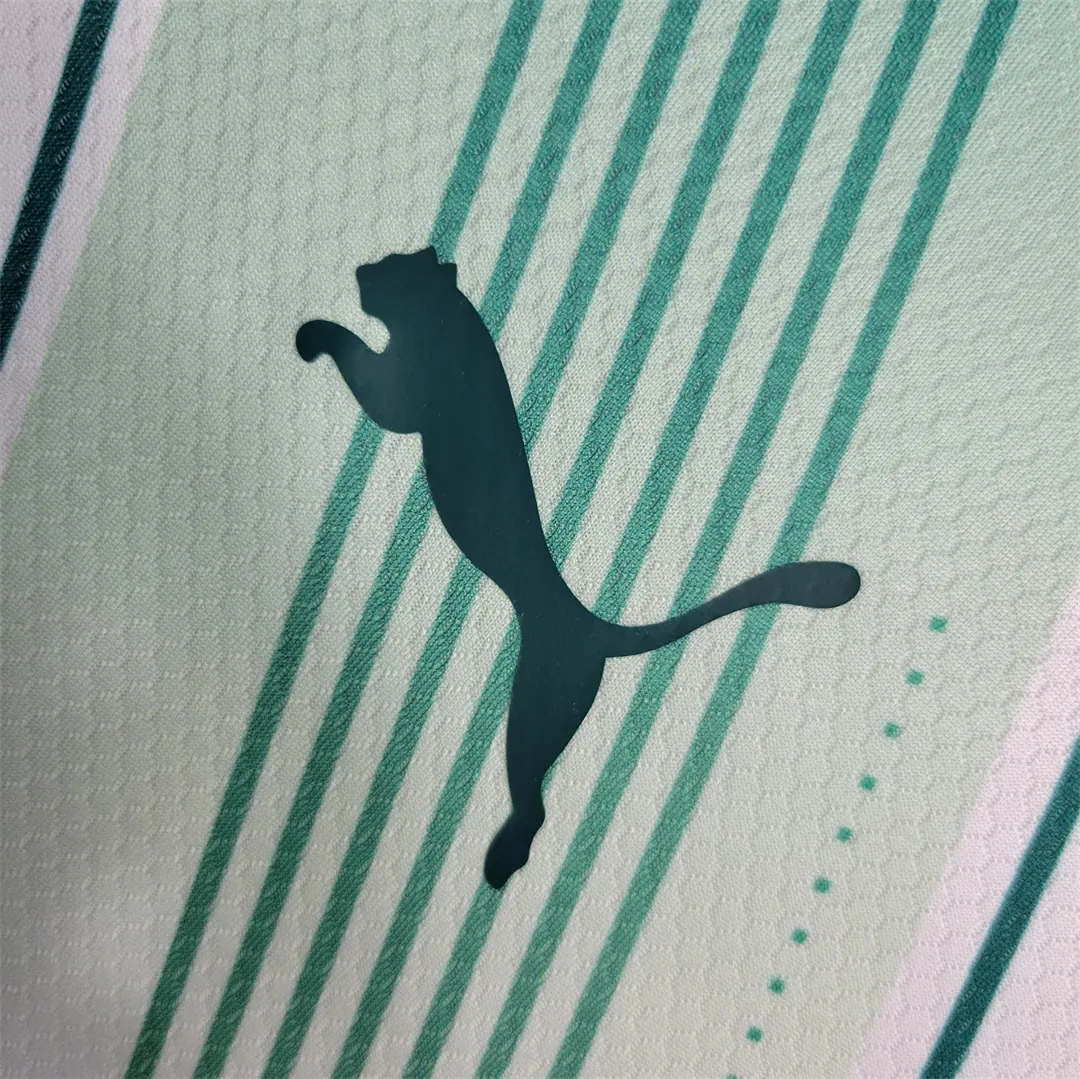 23-24 Palmeiras away long-sleeved 2
