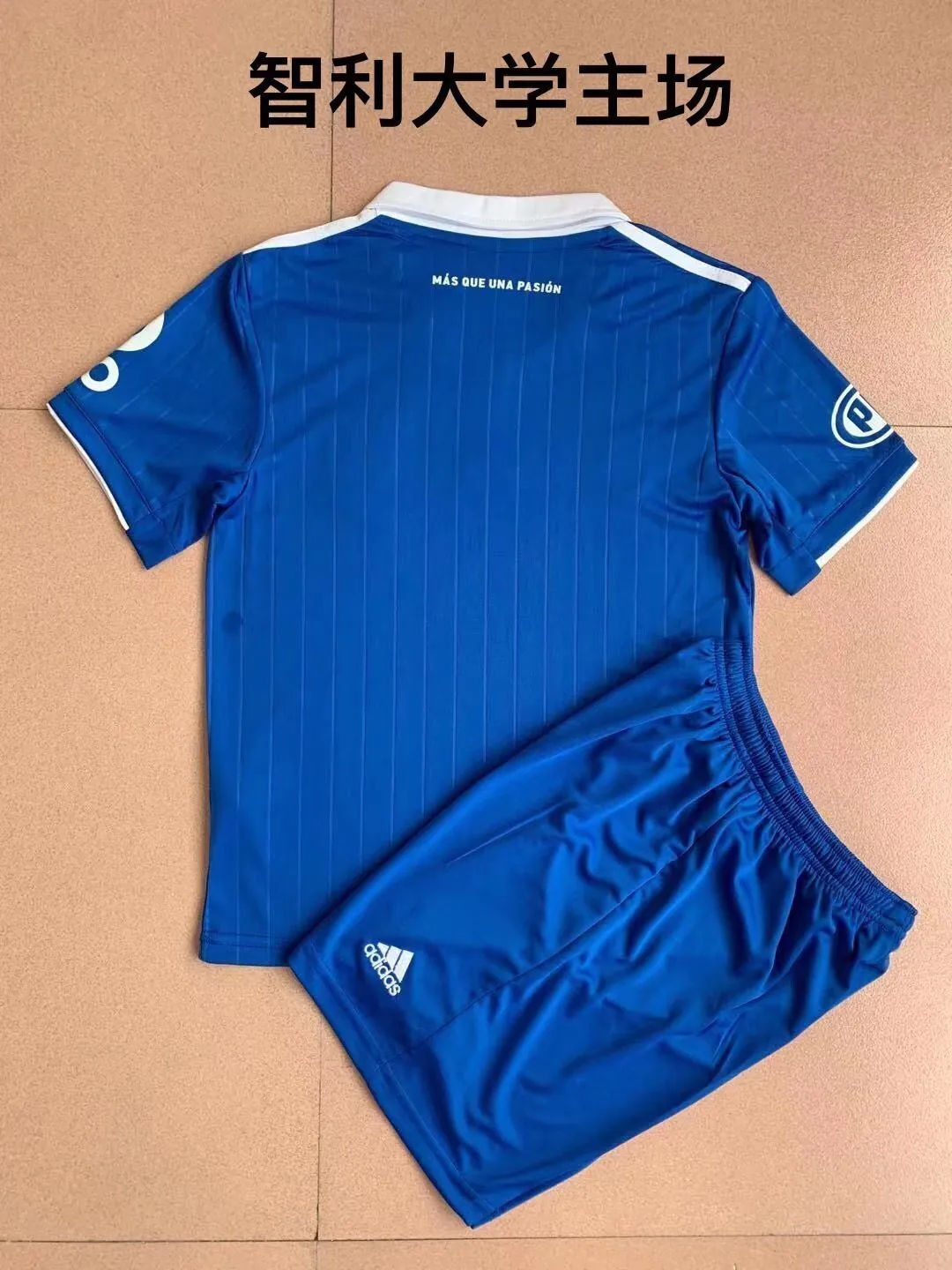 University of Chile home 2