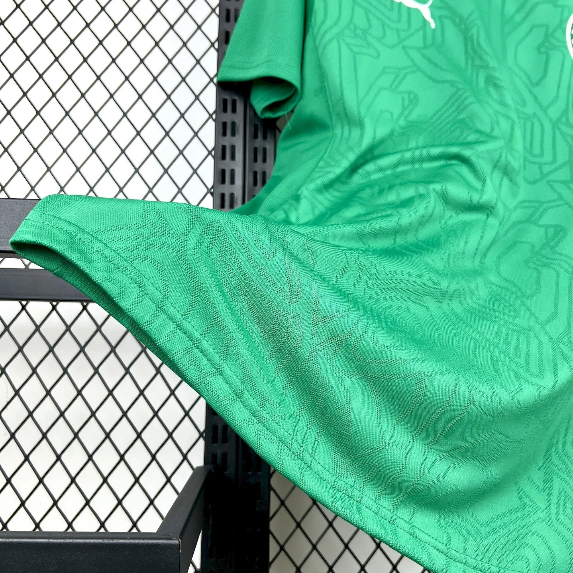 25-26 Palmeiras Training Kit Soccer T-Shirt AAAAJersey Supply Yupoo 1