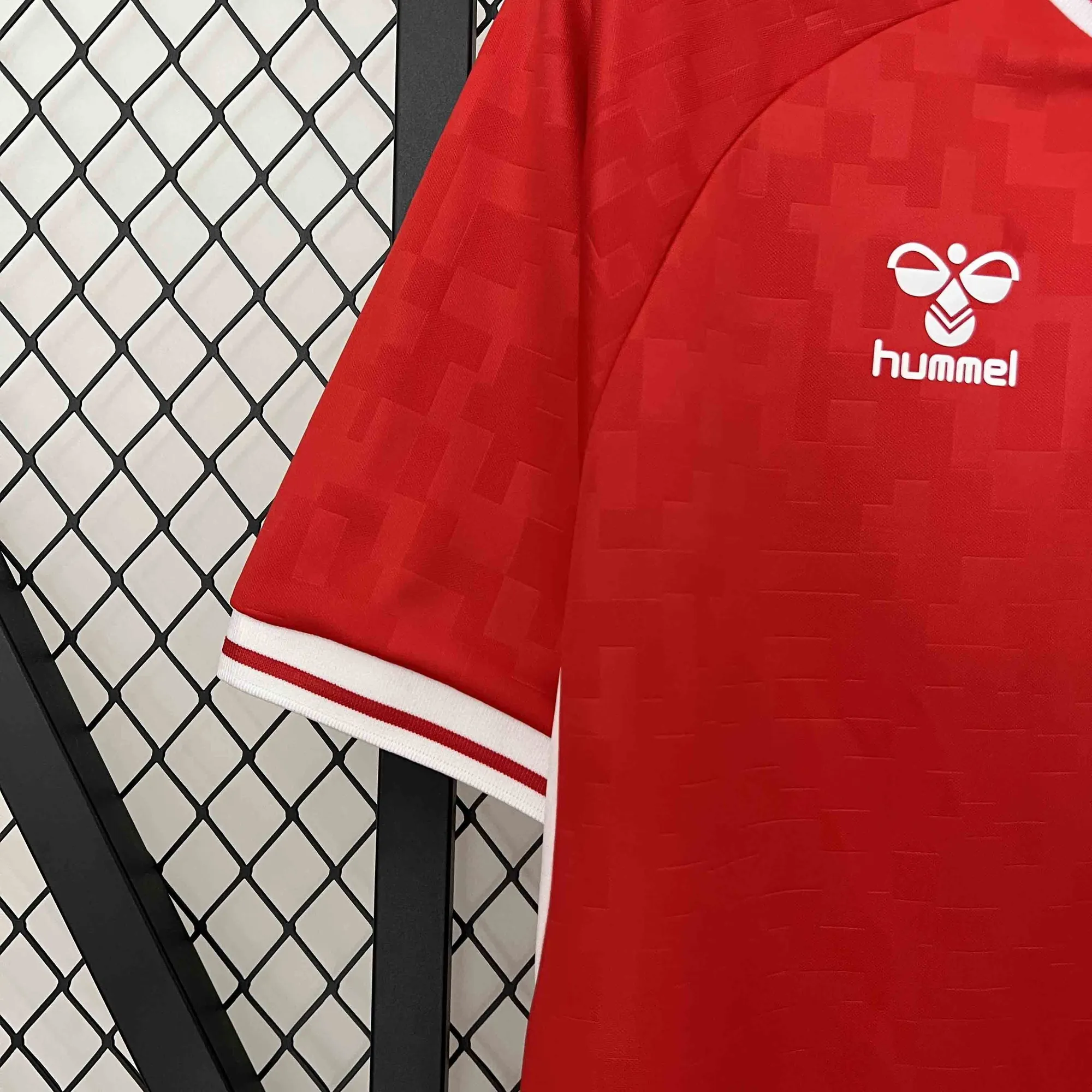 2024 Denmark Home Kit UEFA Euro Shirt Football Replicas Yupoo 3