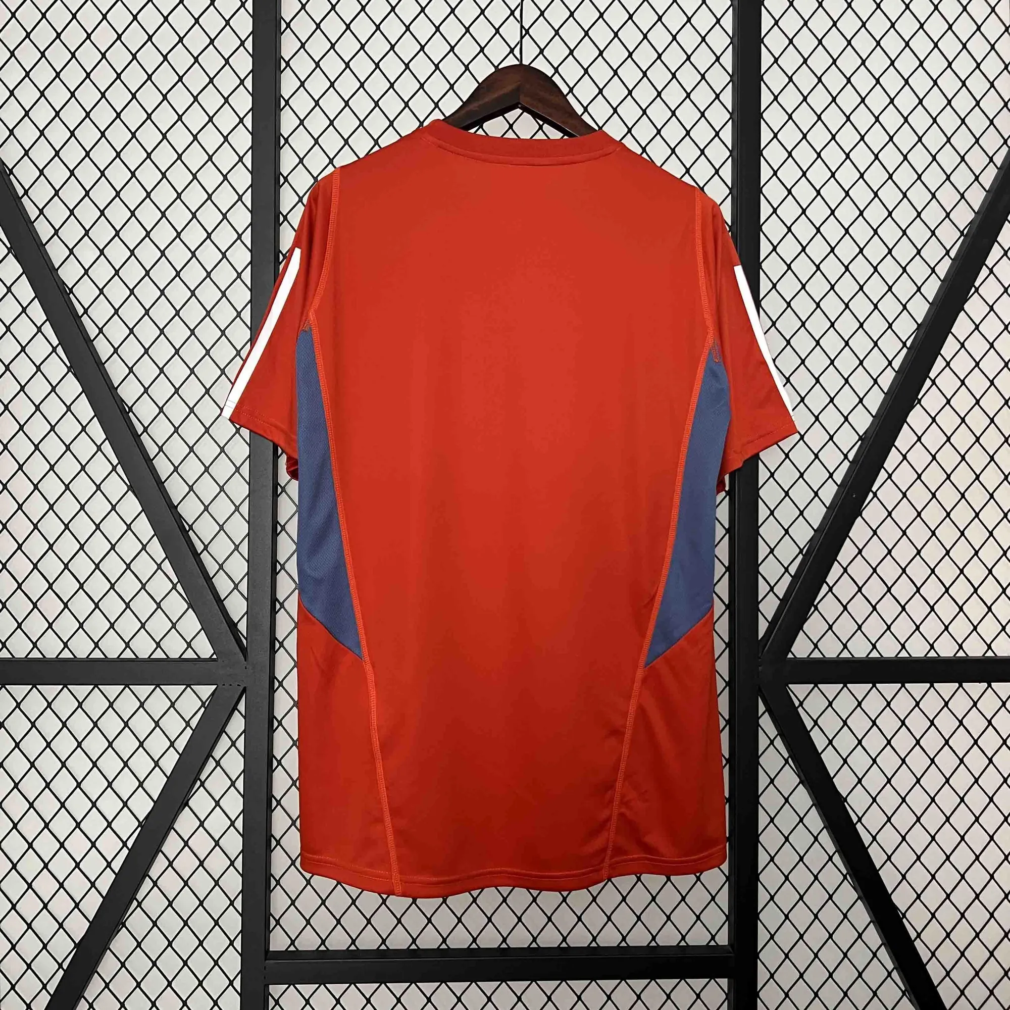 24-25 Cruzeiro Red Training Kit Football AAAAJersey Supplier 3