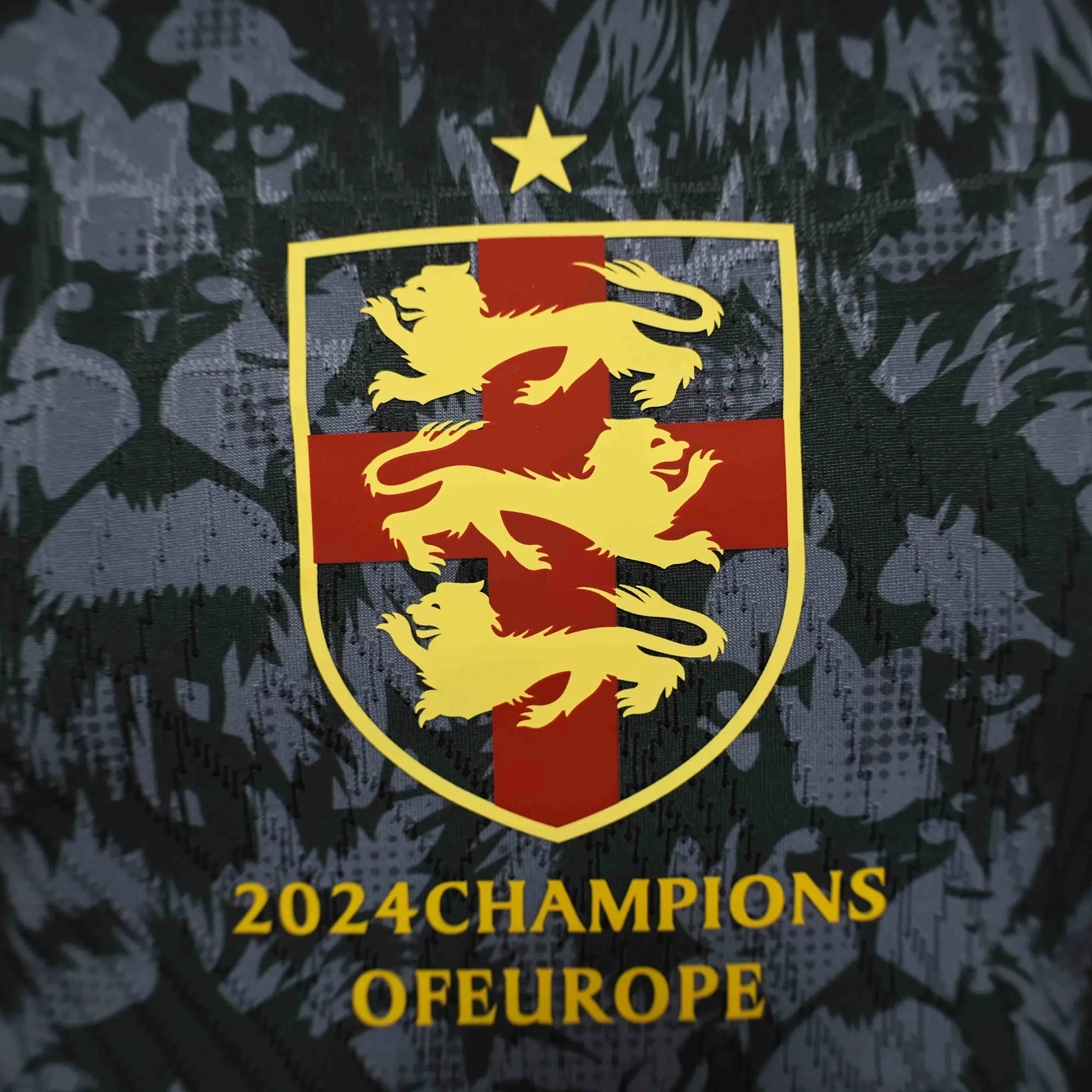 2024 England Grey Lion Special Edition Player Version Shirt AAAAJersey Supplier Yupoo 2