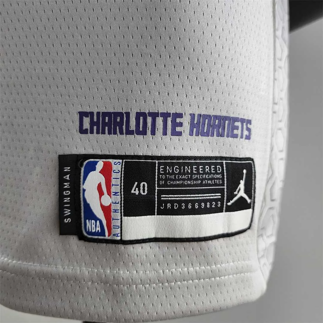 2019 Ball #1 Charlotte Hornets Grey NBA Jersey 7