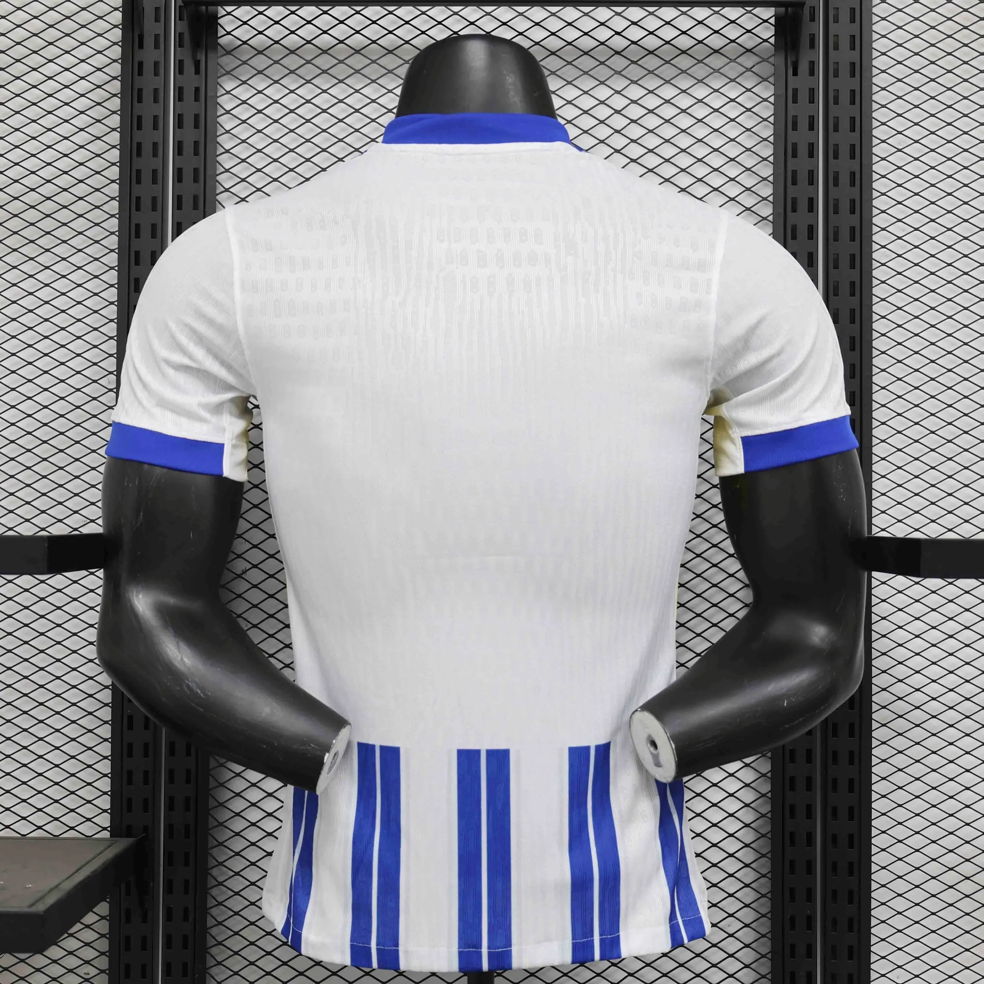 24-25 Brighton Home Kit Player Version Shirt AAAAJersey Supplier Yupoo 1