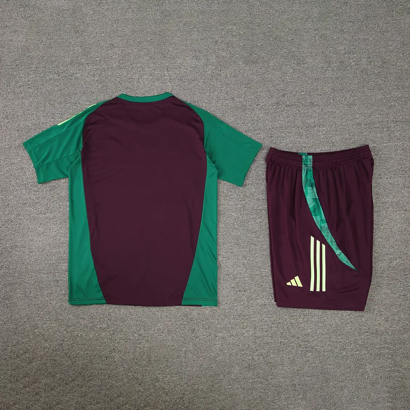 2024 Mexico Training Soccer Jerseys Football Shirts 1