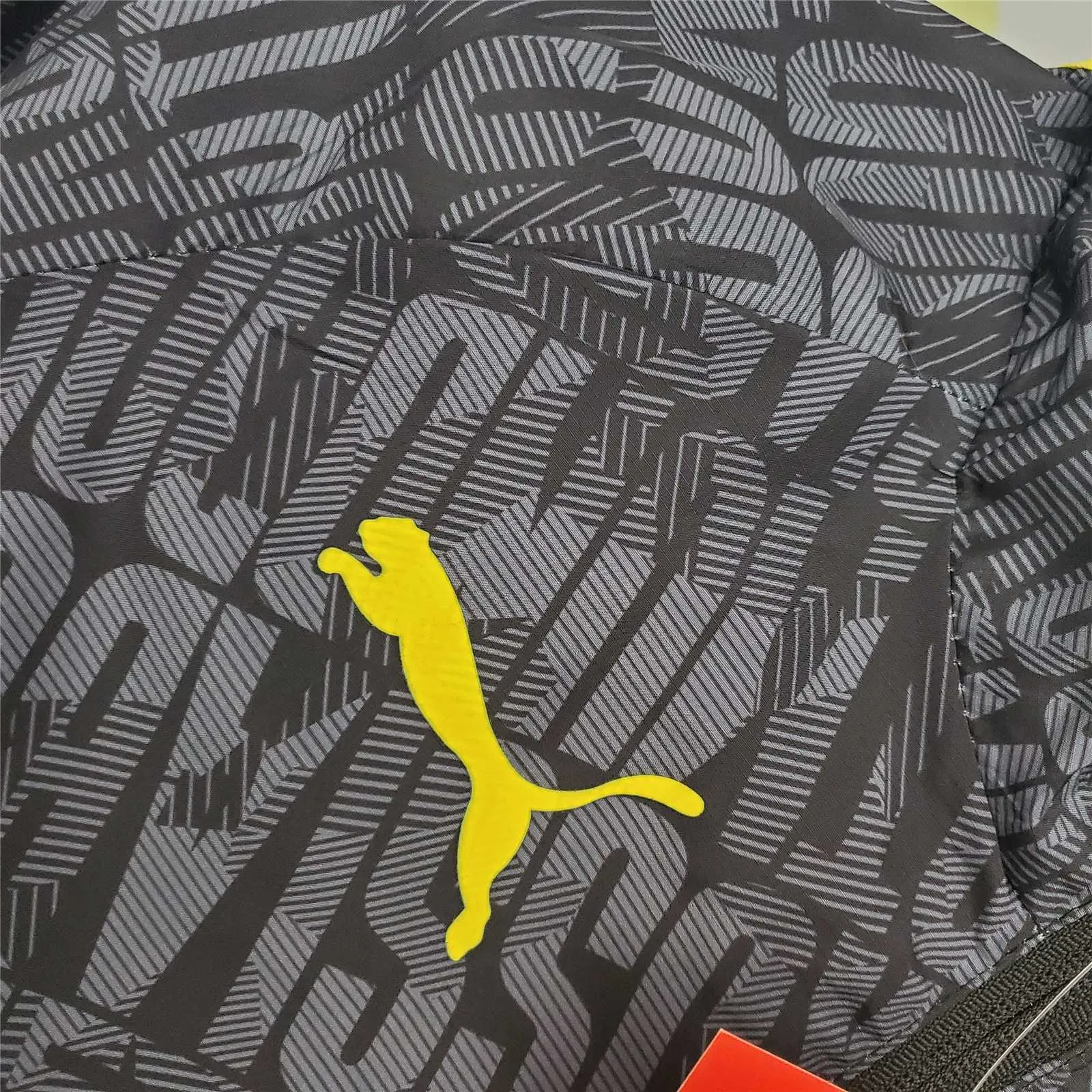 21-22 Dortmund Black Grey Windbreaker 1