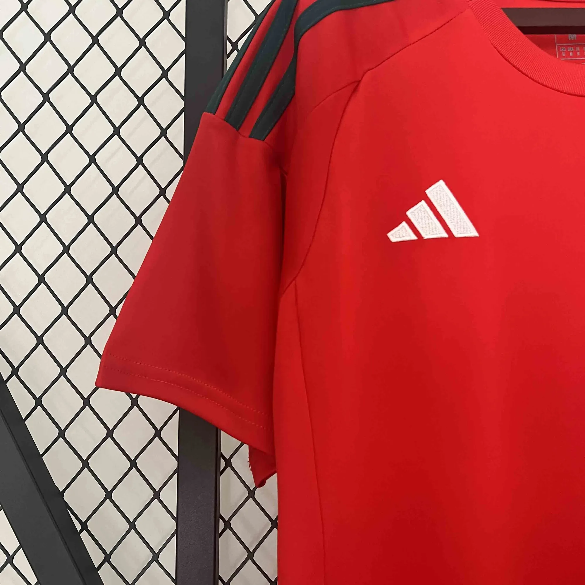 2024 Wales Home Shirt Football AAAAJersey Yupoo 3