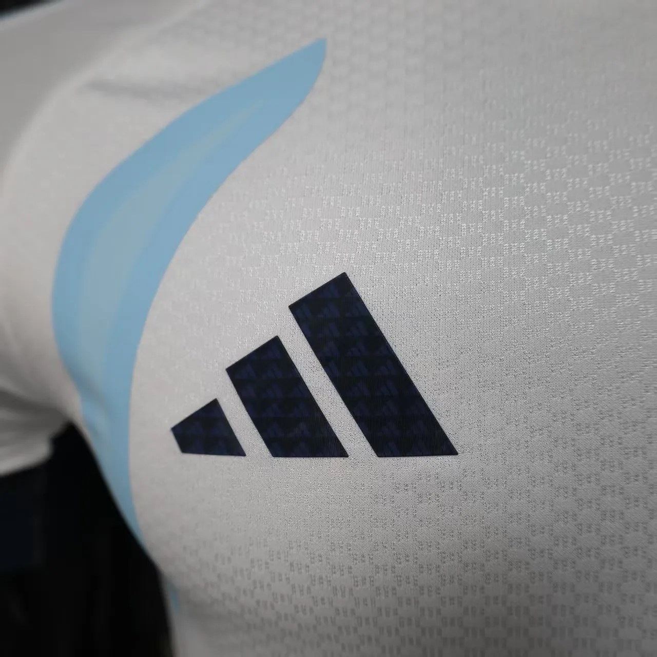 2026 Argentina Pre-Match Football Player Version T-Shirt AAAAJersey Supply Yupoo 2