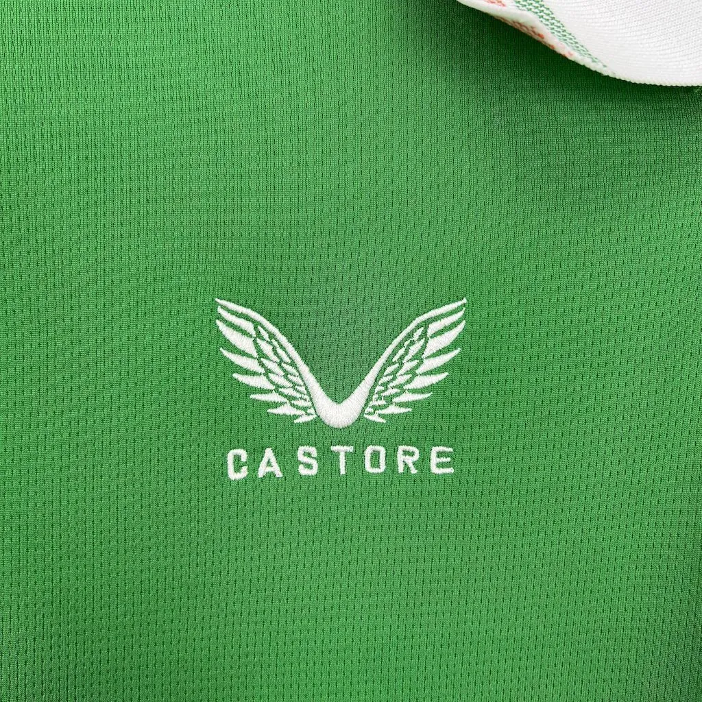 2025 Ireland Home Kit Football T-Shirt AAAAJersey Wholesale Yupoo 1