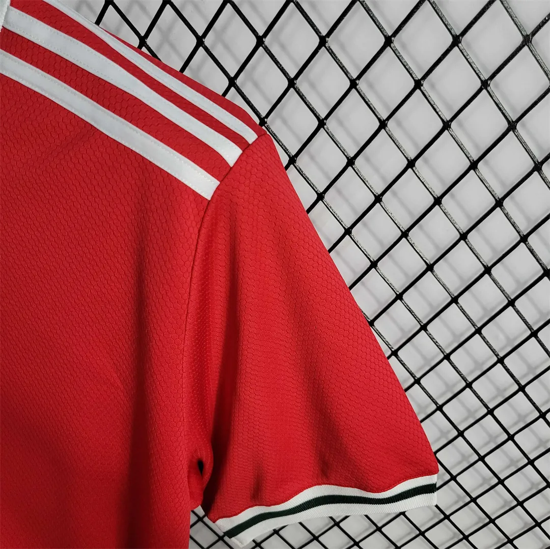 2022 Wales home 1