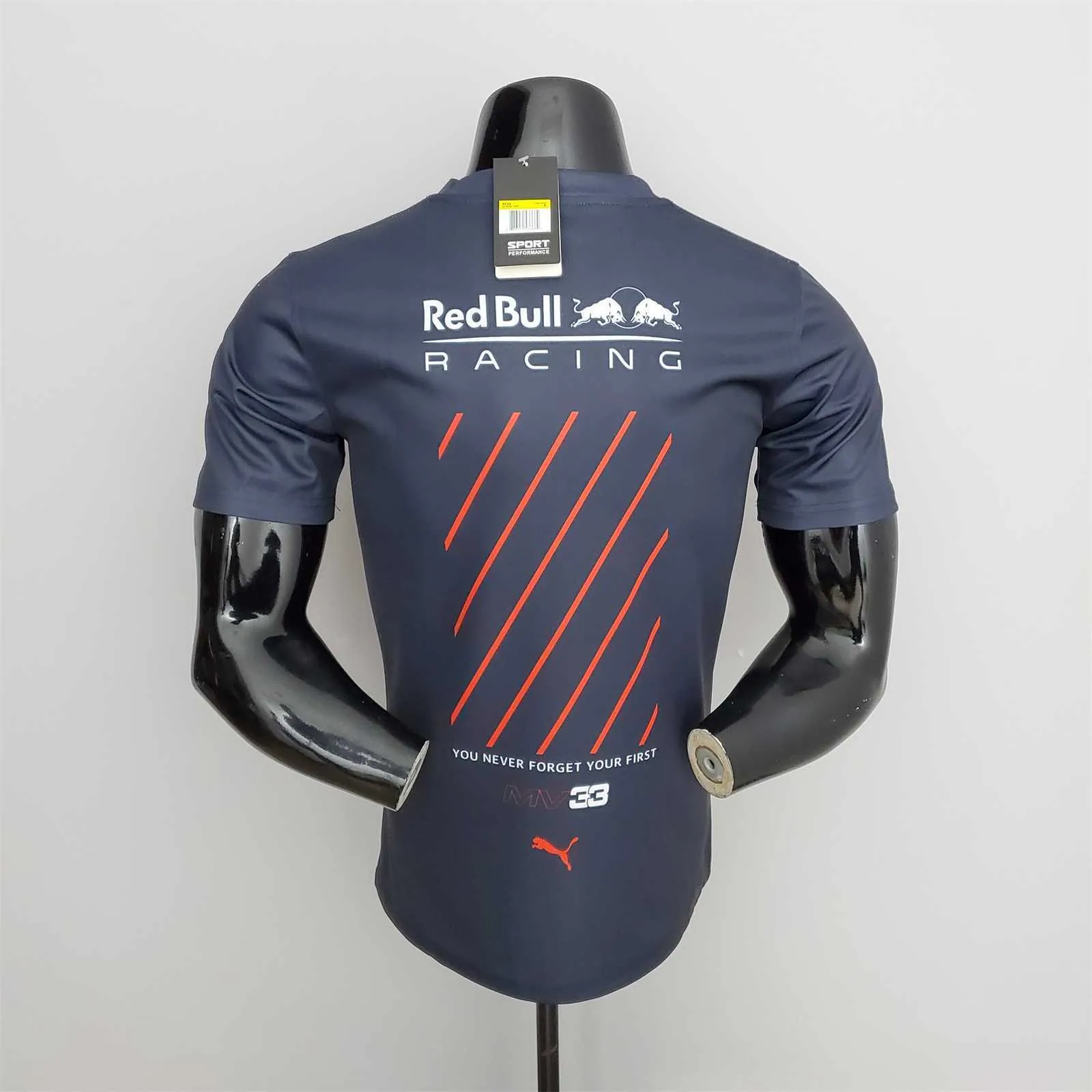 Formula 1 Red Bull 5