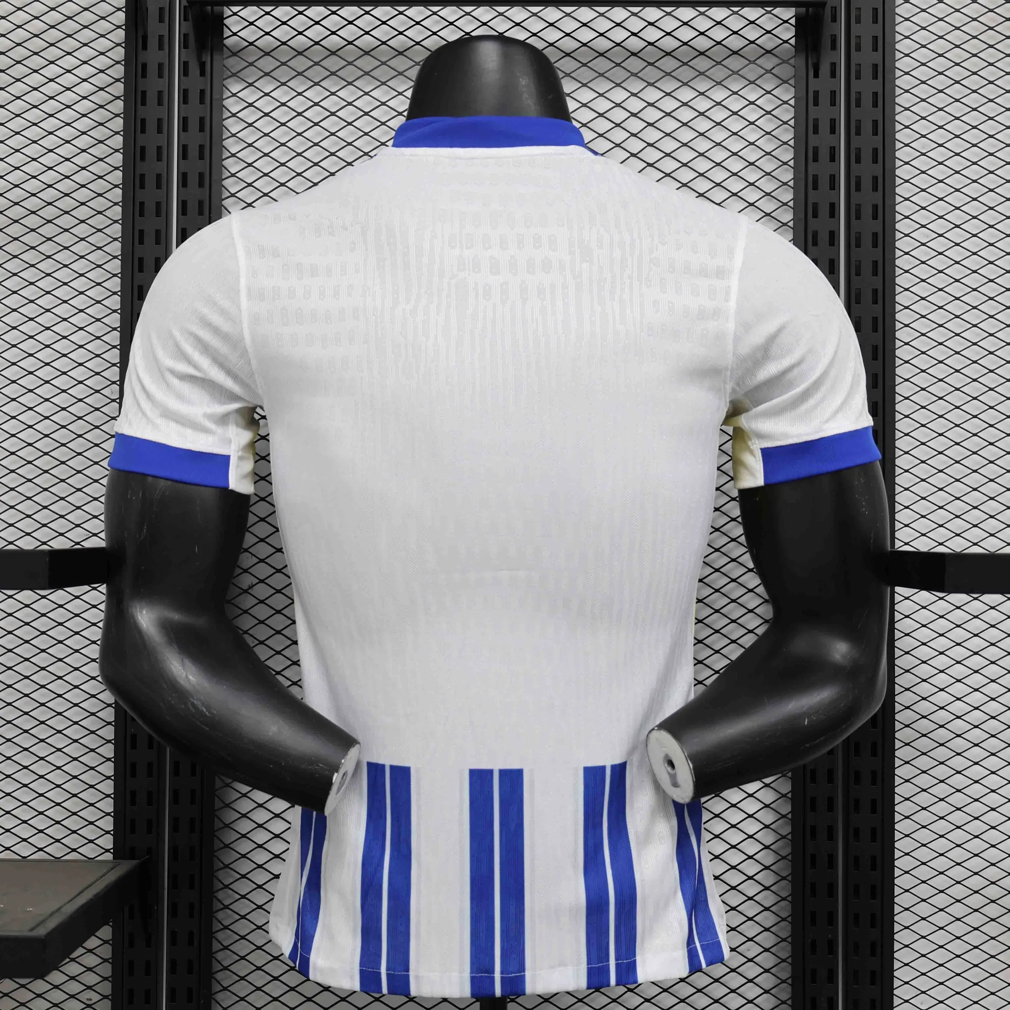 24-25 Brighton Home Kit Player Version Shirt Sport AAAAJersey Yupoo 5