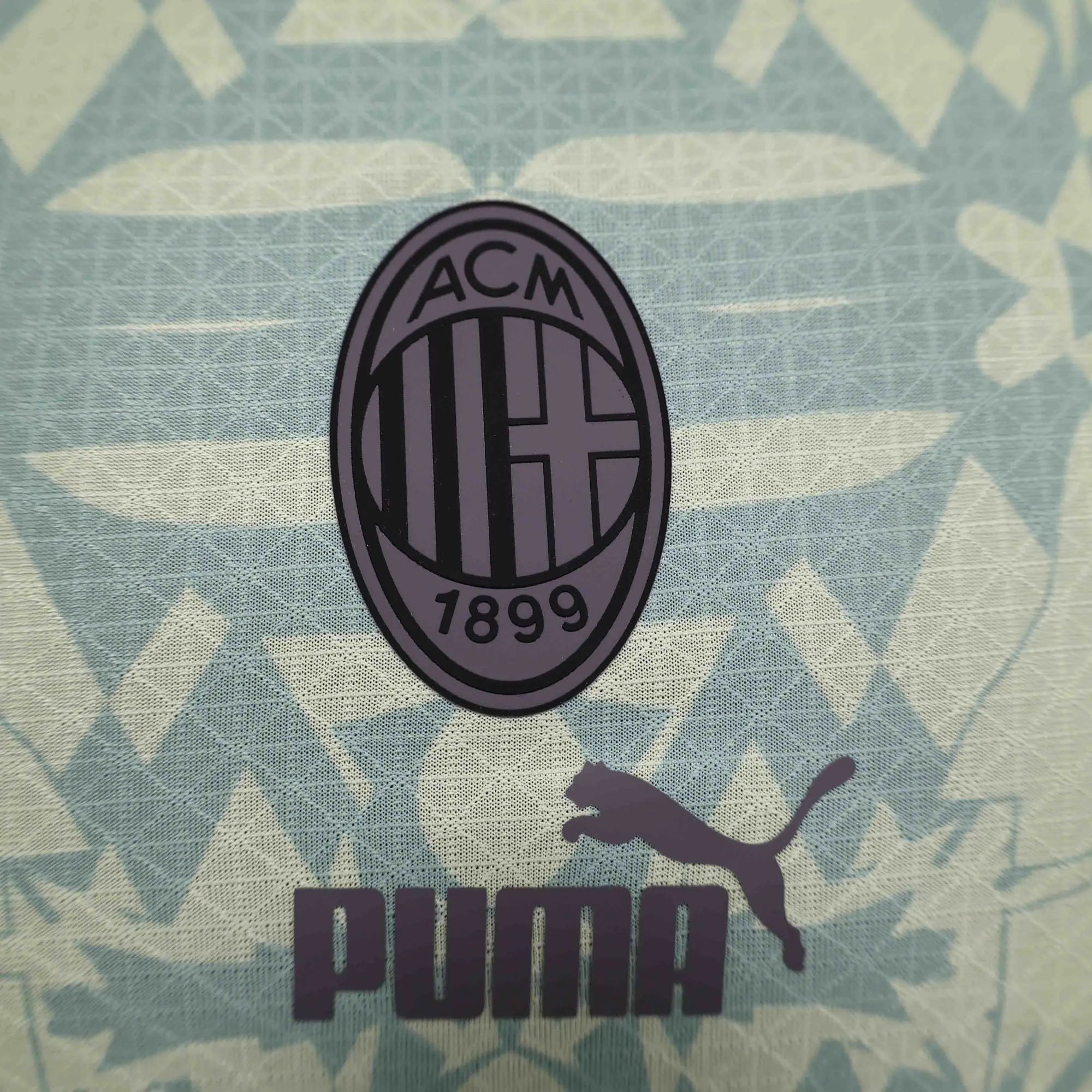 24-25 AC Milan Green Special Edition Player Version Shirt AAAAJersey Supplier Yupoo 2
