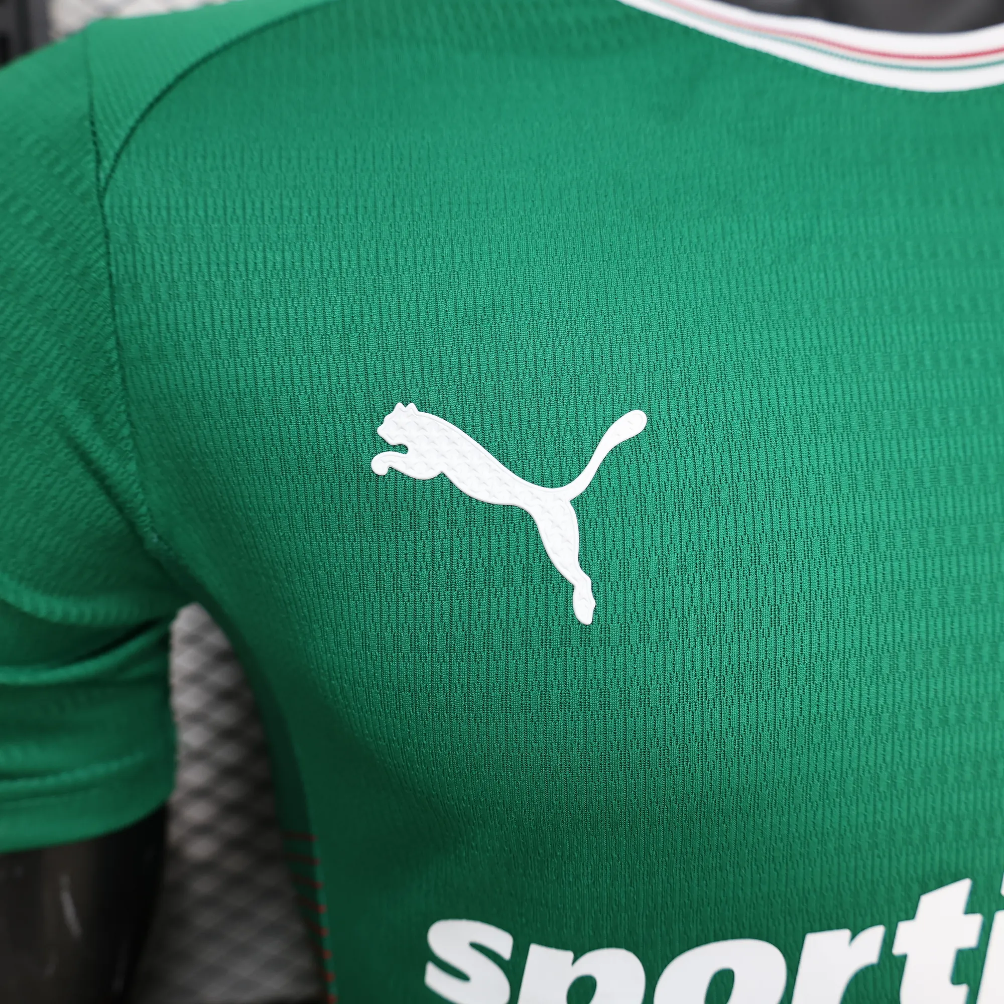 26-27 Palmeiras home jersey player version AAAAJersey Dropship Yupoo 6