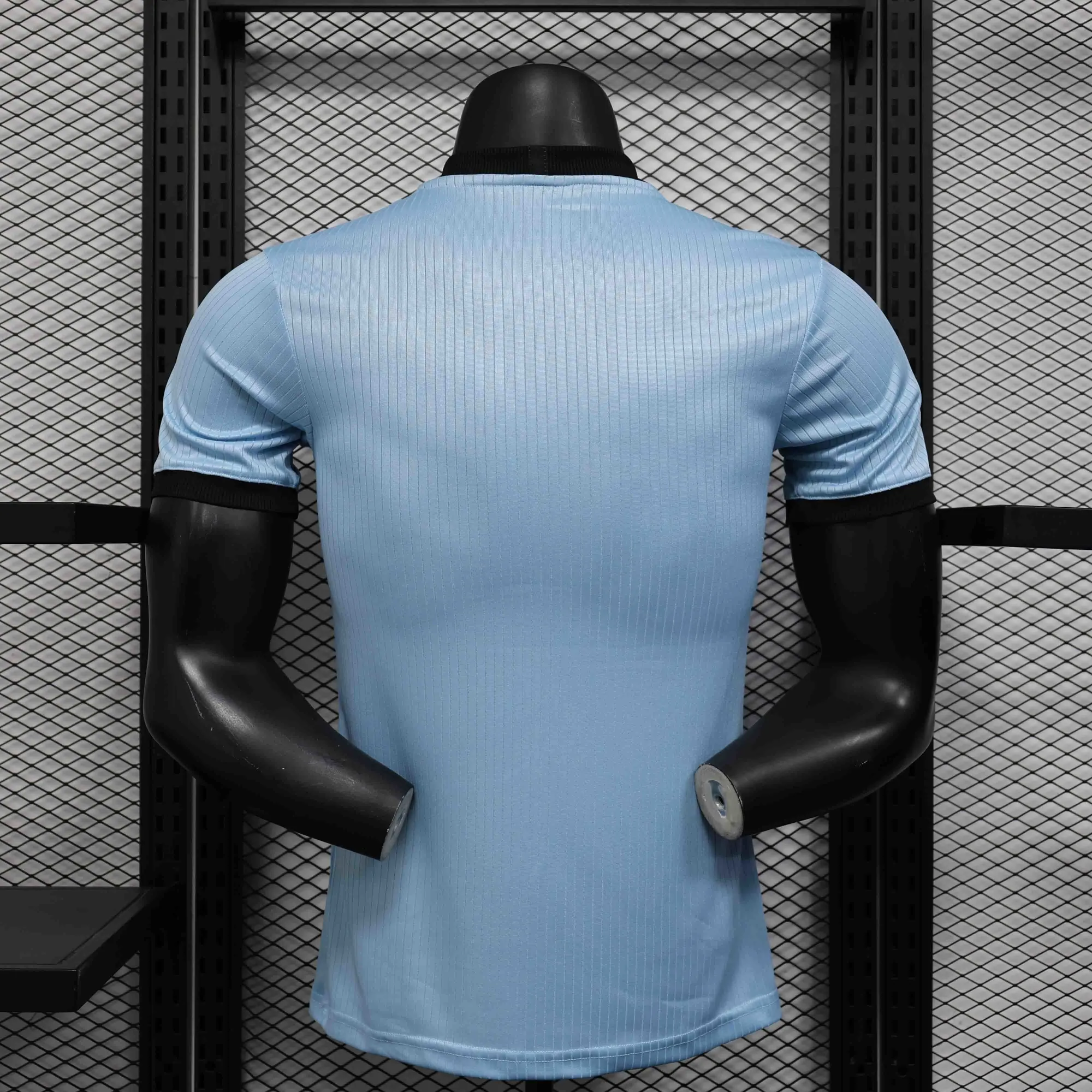 2025 Germany Anniversary Blue Special Edition Player Version Shirt AAAAJersey Supply Yupoo 2