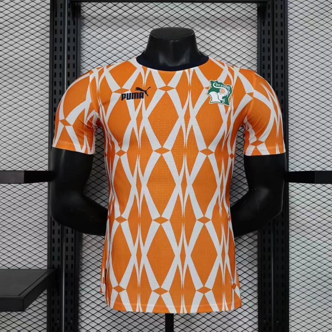 2023 Ivory Coast Training Kit Player Version Shirts Cheap Soccer Jerseys 8