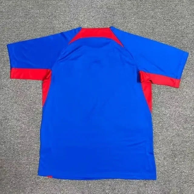 2024 Slovakia Home Kit UEFA Euro Shirt Football AAAAJersey Supplier 4