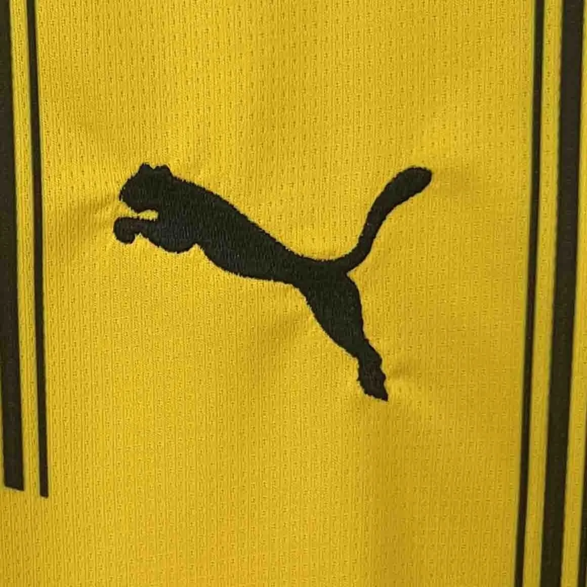24-25 Dortmund BVB Home Kit Football Apparel AAAAJersey Wholesale Yupoo 5