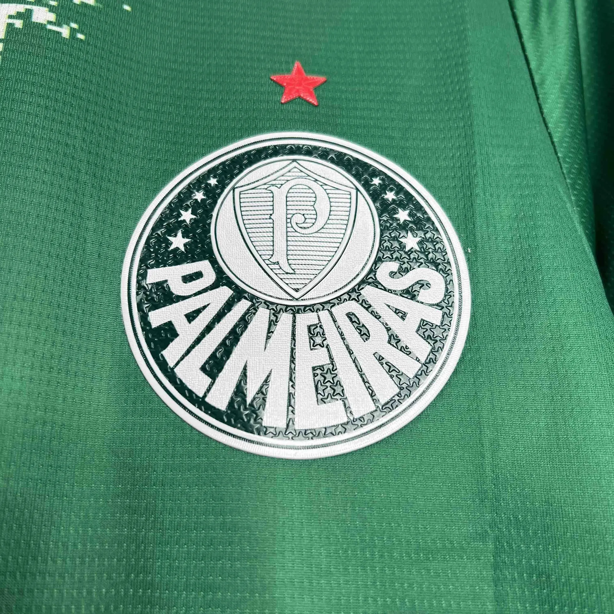 24-25 Palmeiras For a Greener Future Special Edition Kit AAAAJersey Supplier Yupoo 5