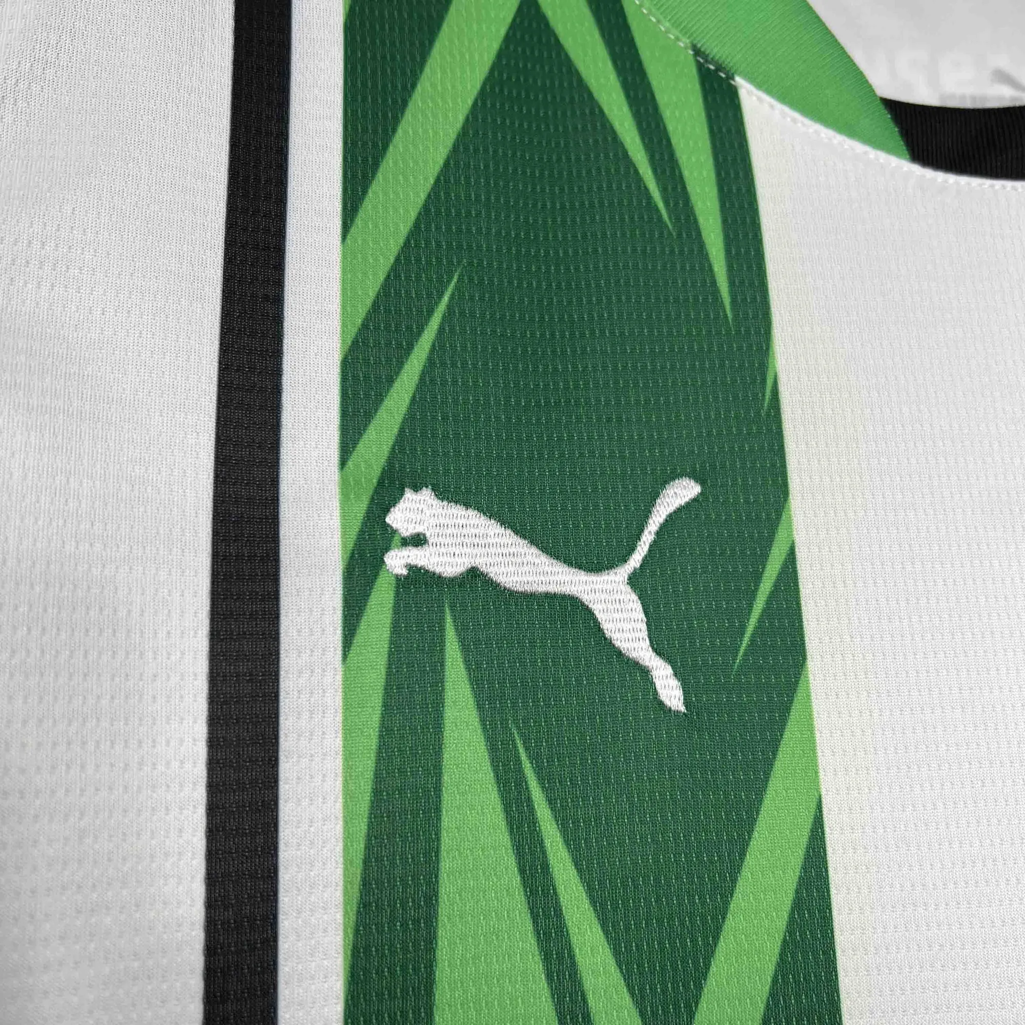 24-25 Borussia Mnchengladbach Home Kit Soccer Uniform AAAAJersey Supplier Yupoo 7