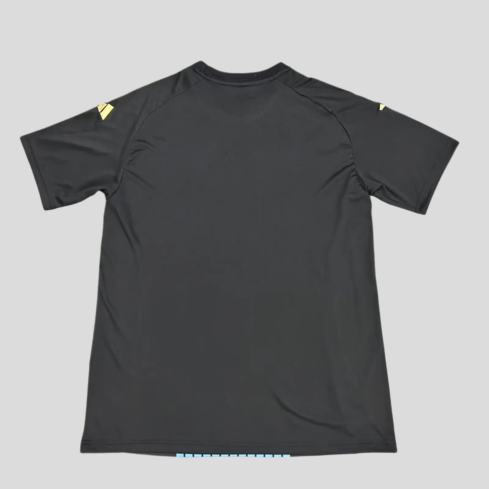 24-25 Argentina Pre-Match Training Kit AAAAJersey Supplier Yupoo 1