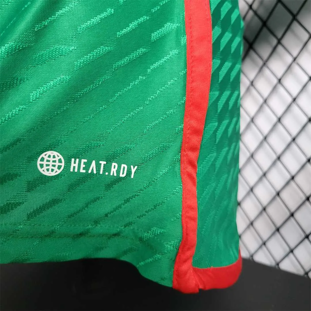 2022 Mexico home player version 10