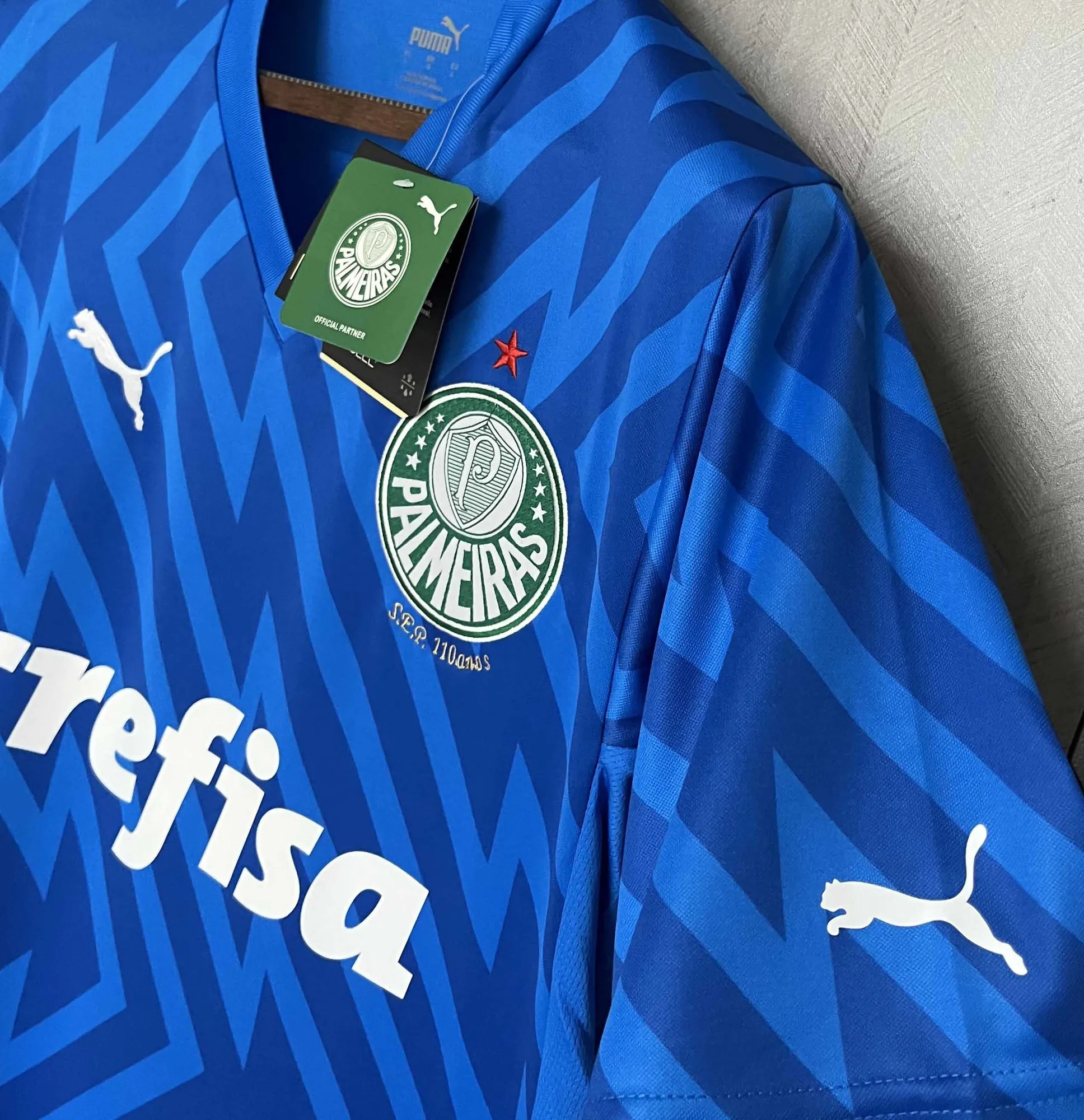 24-25 Palmeiras Goalkeeper Blue Kit Football Replicas Yupoo 4