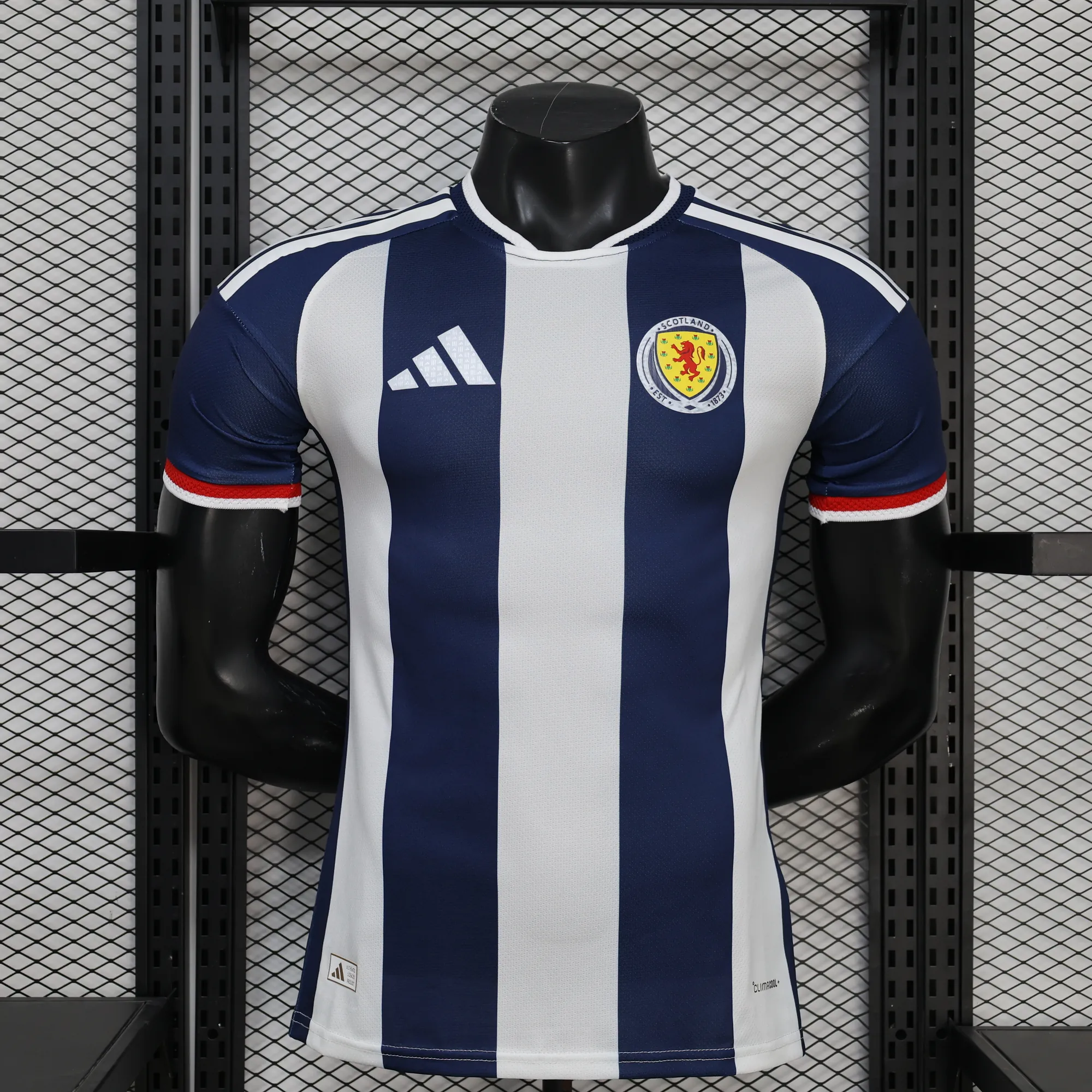 2026 World Cup Wales Special Edition Football Shirt Player Edition AAAA Jersey Drop ship Yupoo 7