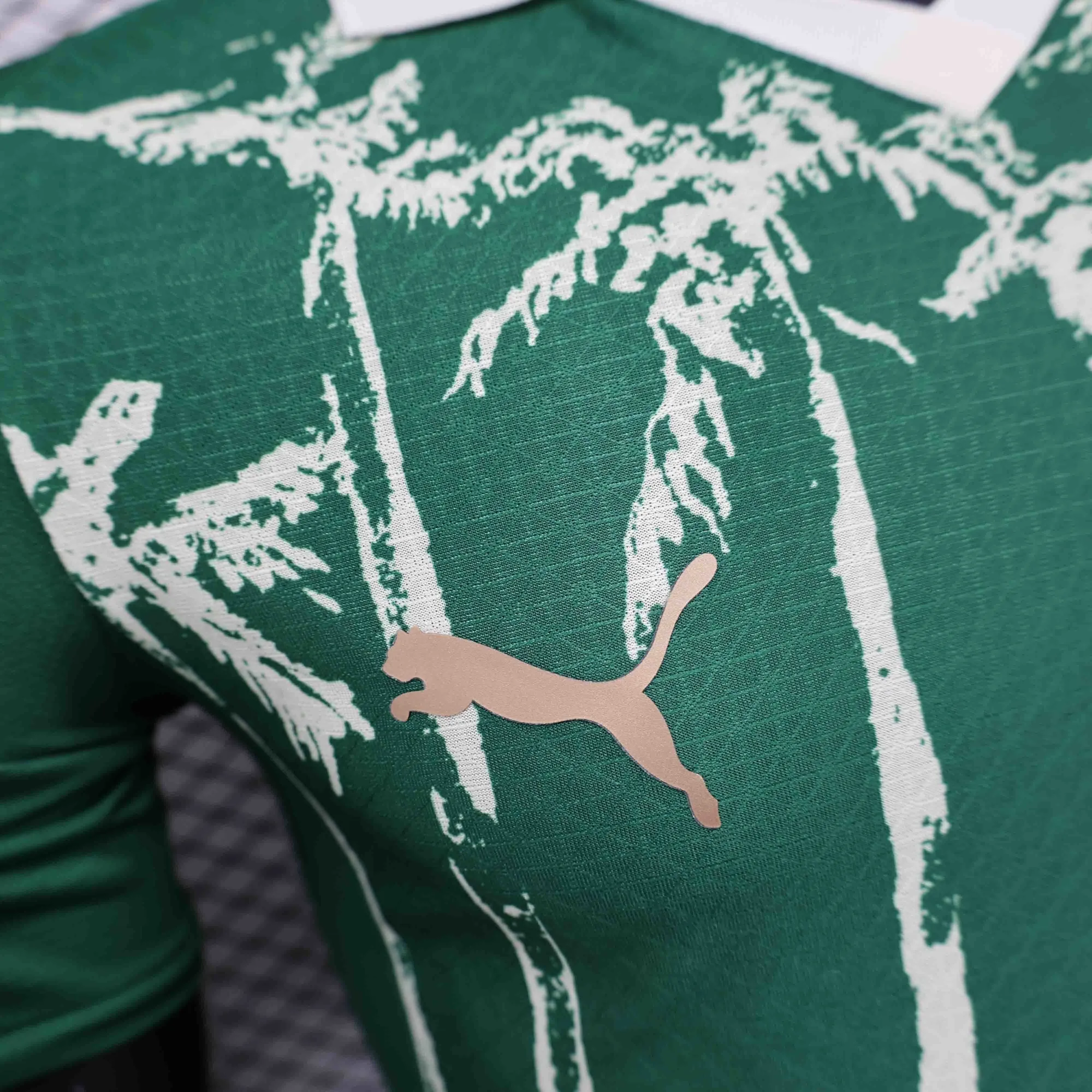 25-26 Palmeiras Cup World Home Kit Player Version Shirt AAAAJersey Supplier Yupoo 2