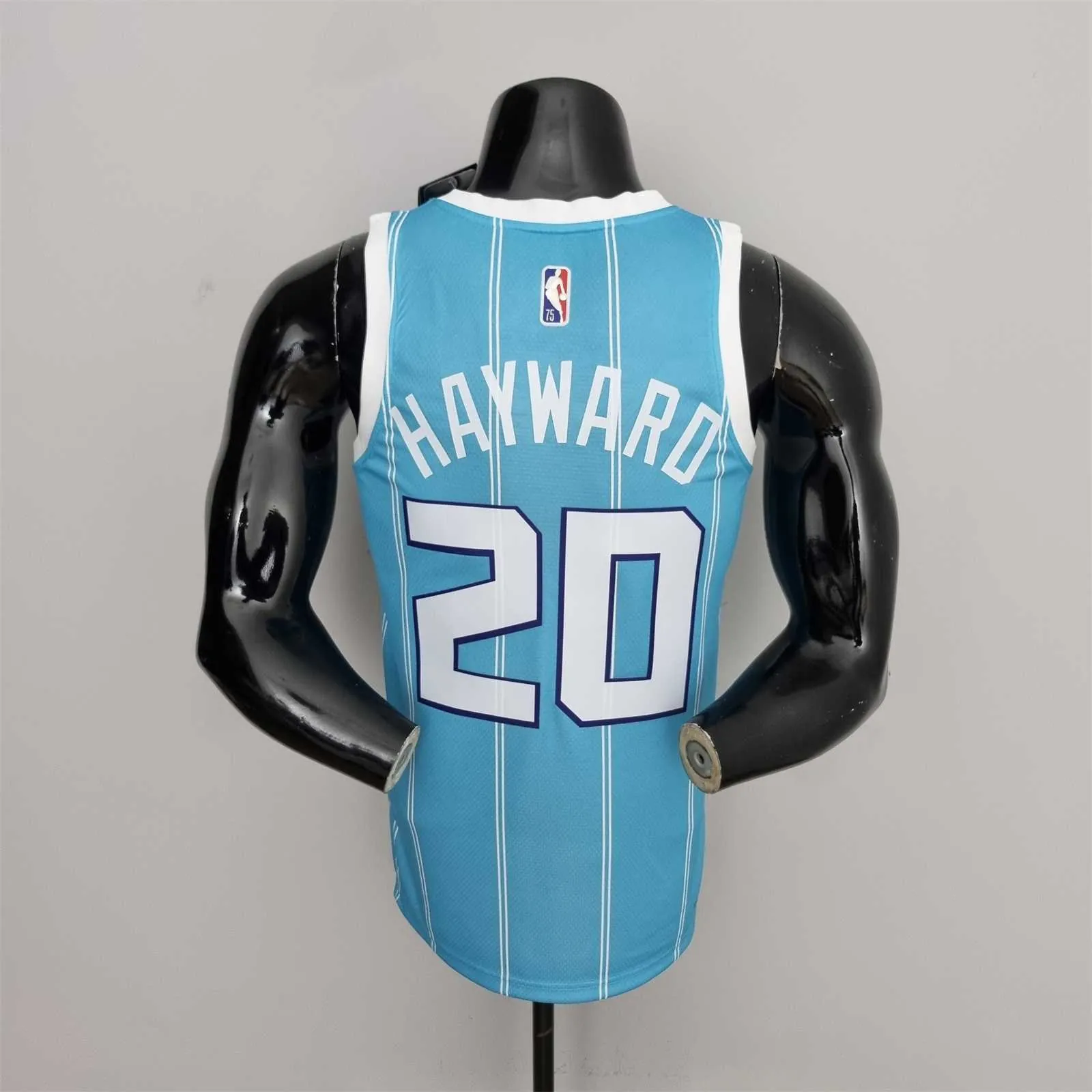 75th Anniversary Hayward #20 Charlotte Hornets Blue NBA Jersey 5