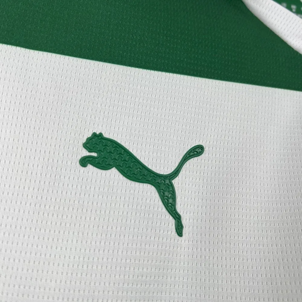 25-26 Palmeiras Special Edition Kit Football T-Shirt AAAAJersey Supply Yupoo 3