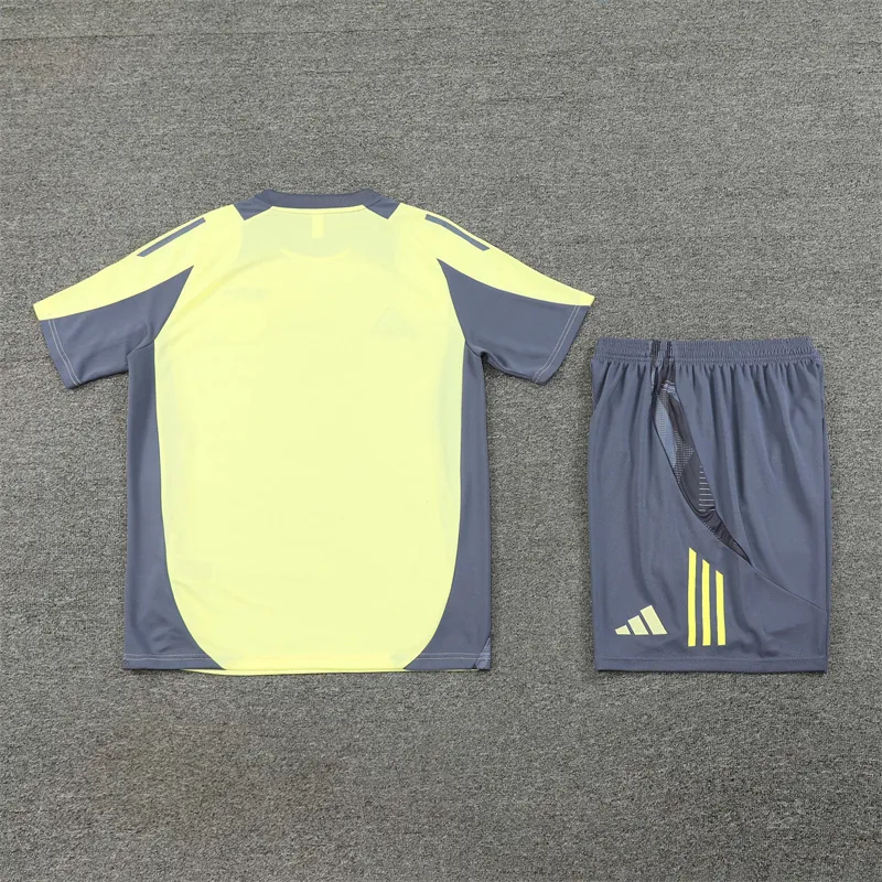 24-25 Ajax Training Soccer Jerseys Football Shirts 2