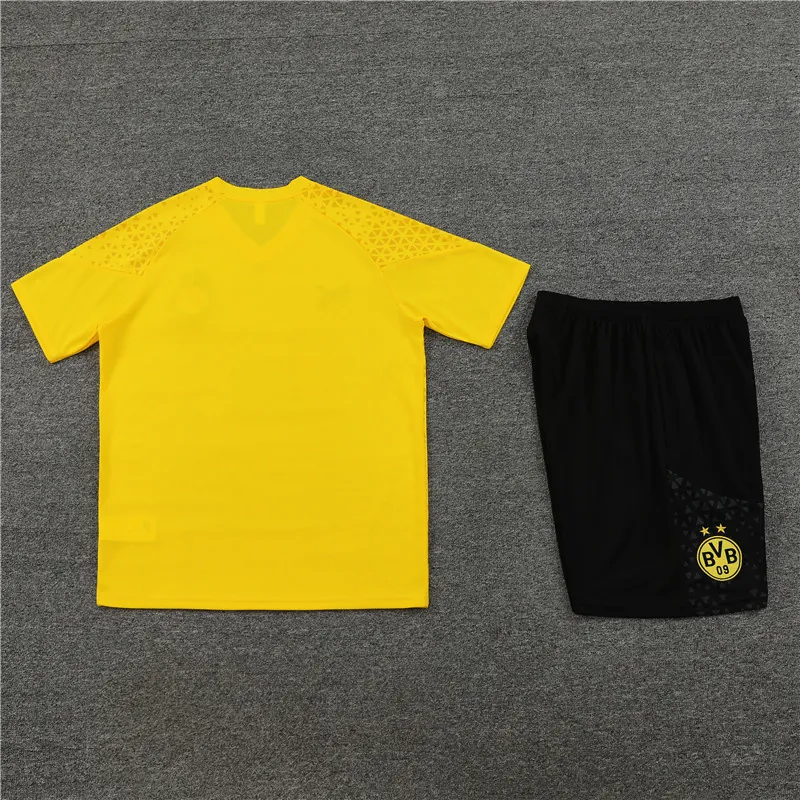 23-24 Dortmund Training Soccer Jerseys Yupoo 1