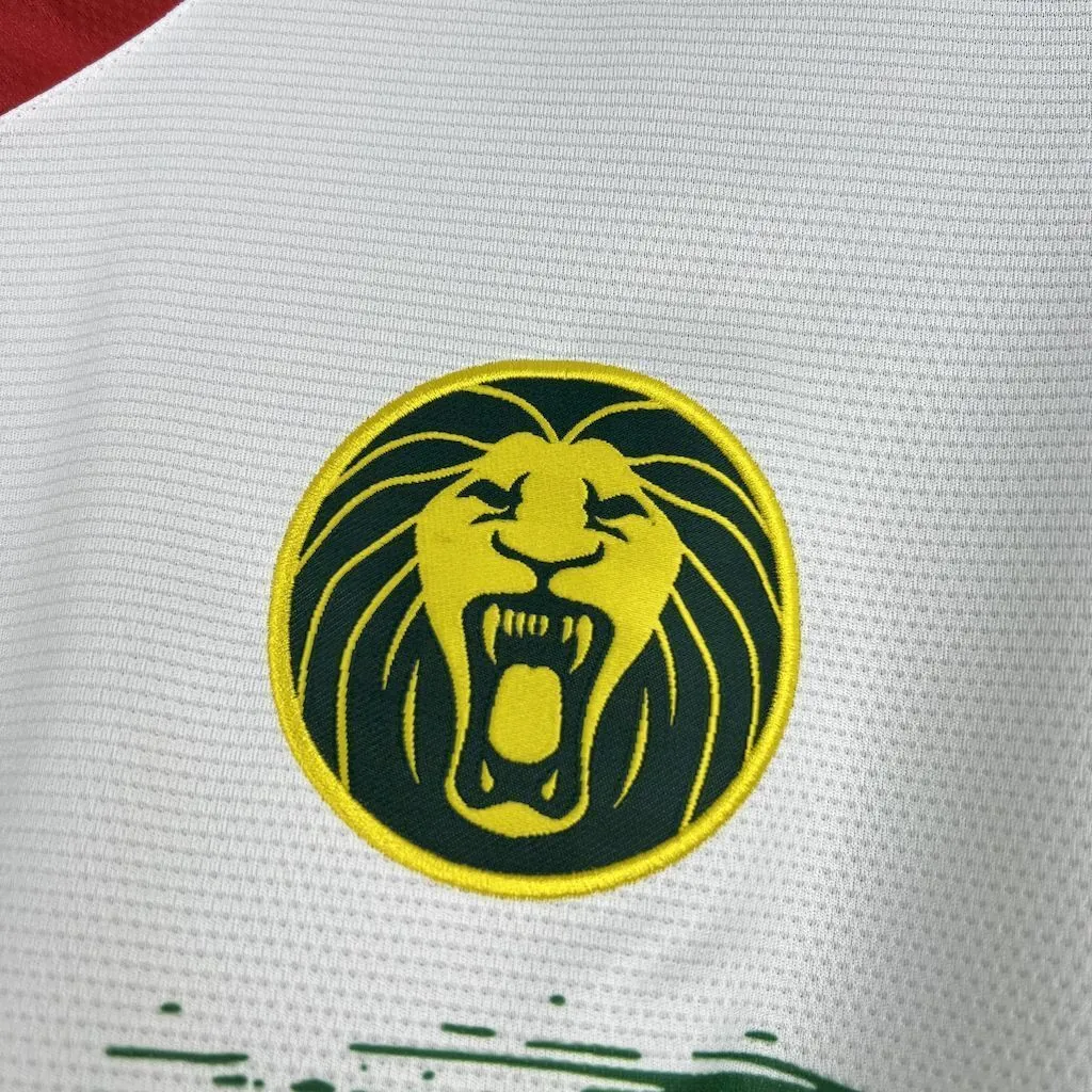 2025 Cameroon Third Shirt Football Uniform AAAAJersey Supply Yupoo 2