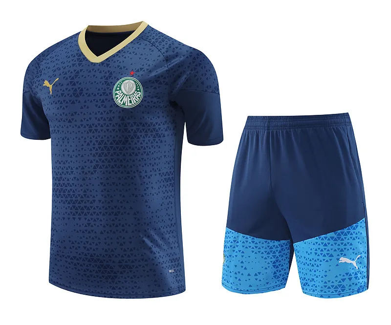 24-25 Palmeiras Training Soccer Jerseys Football Shirts 3